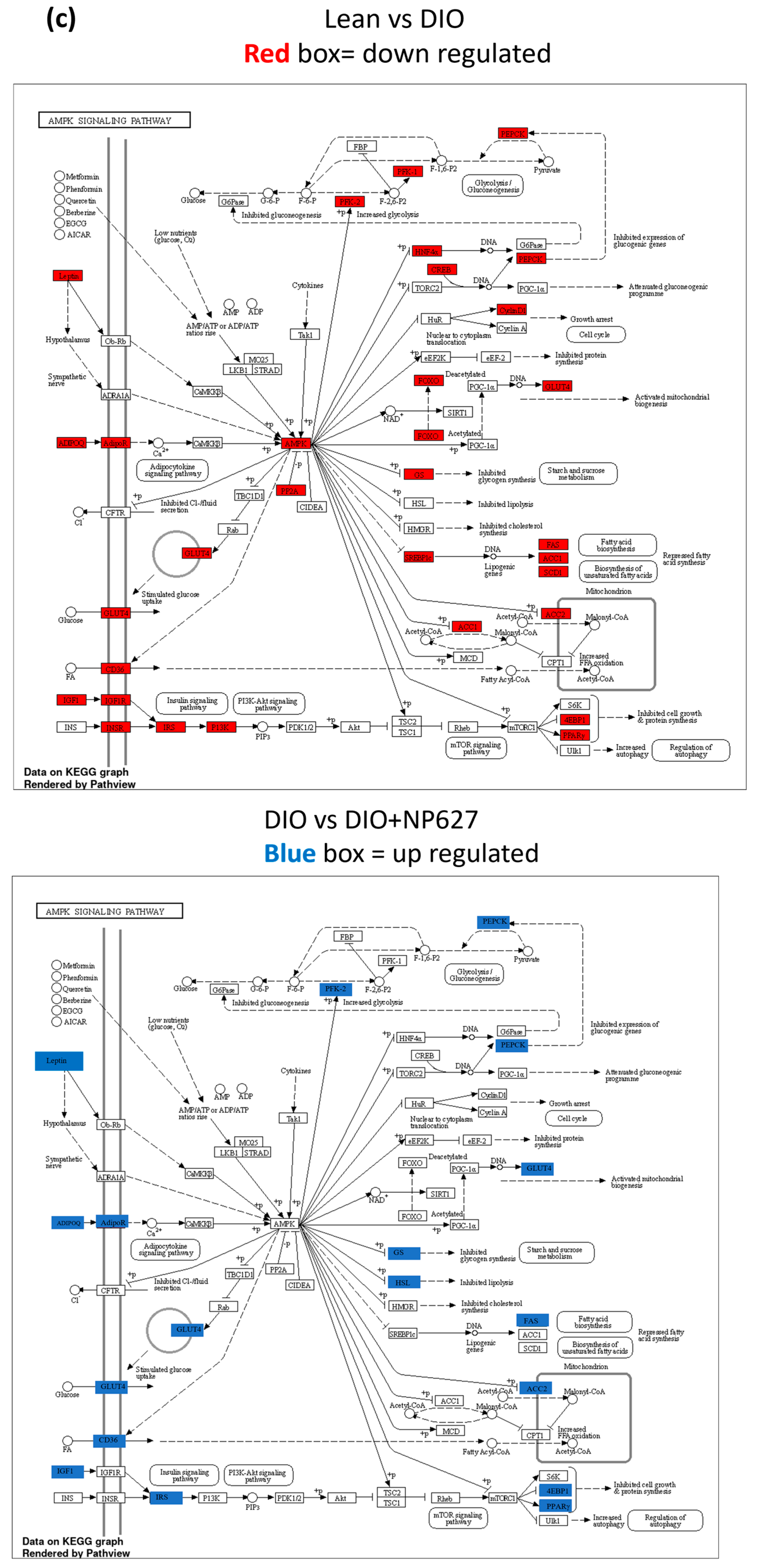 Biology 13 00943 g007b Biology 13 00943 g007b