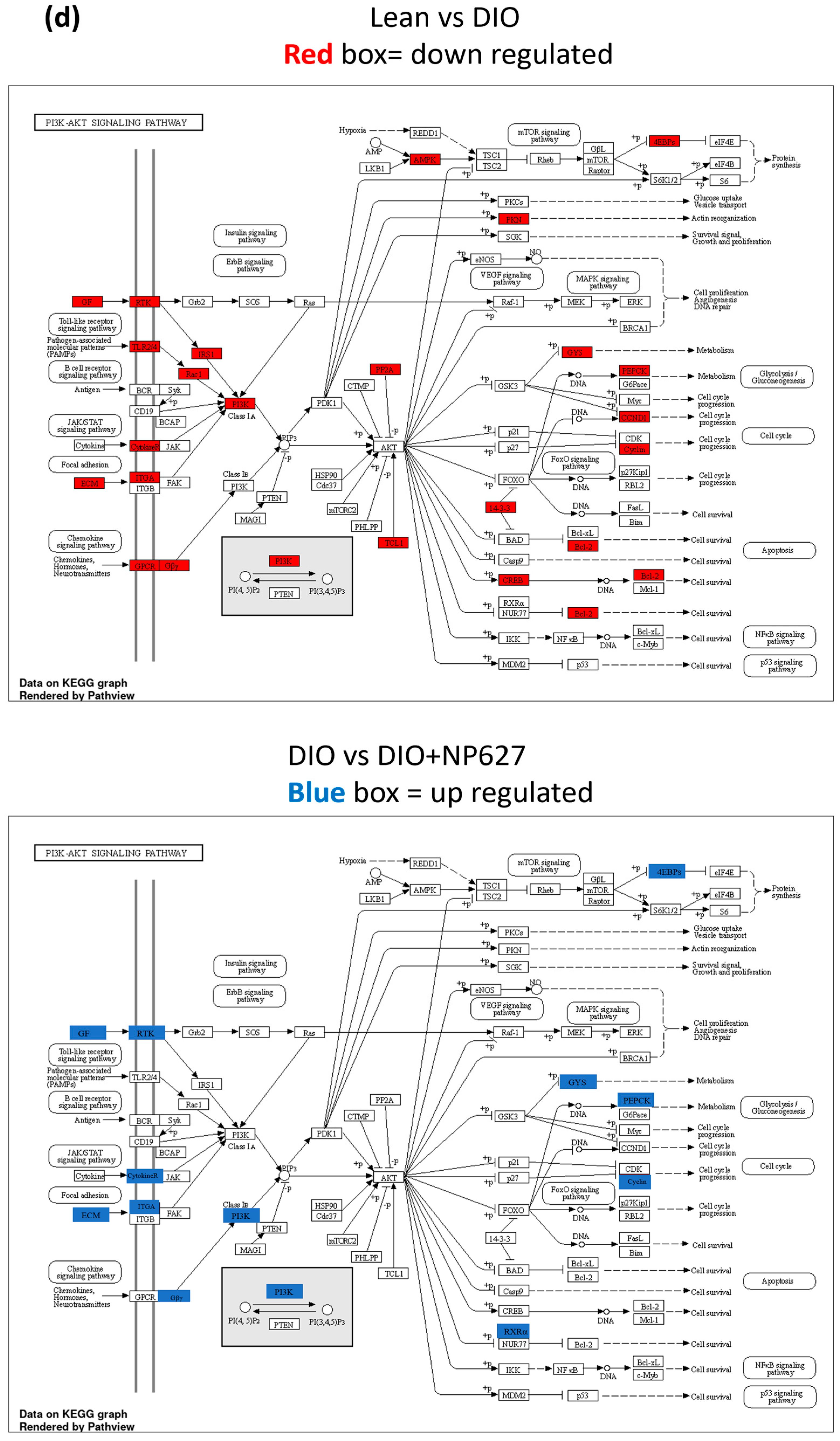 Biology 13 00943 g007c Biology 13 00943 g007c