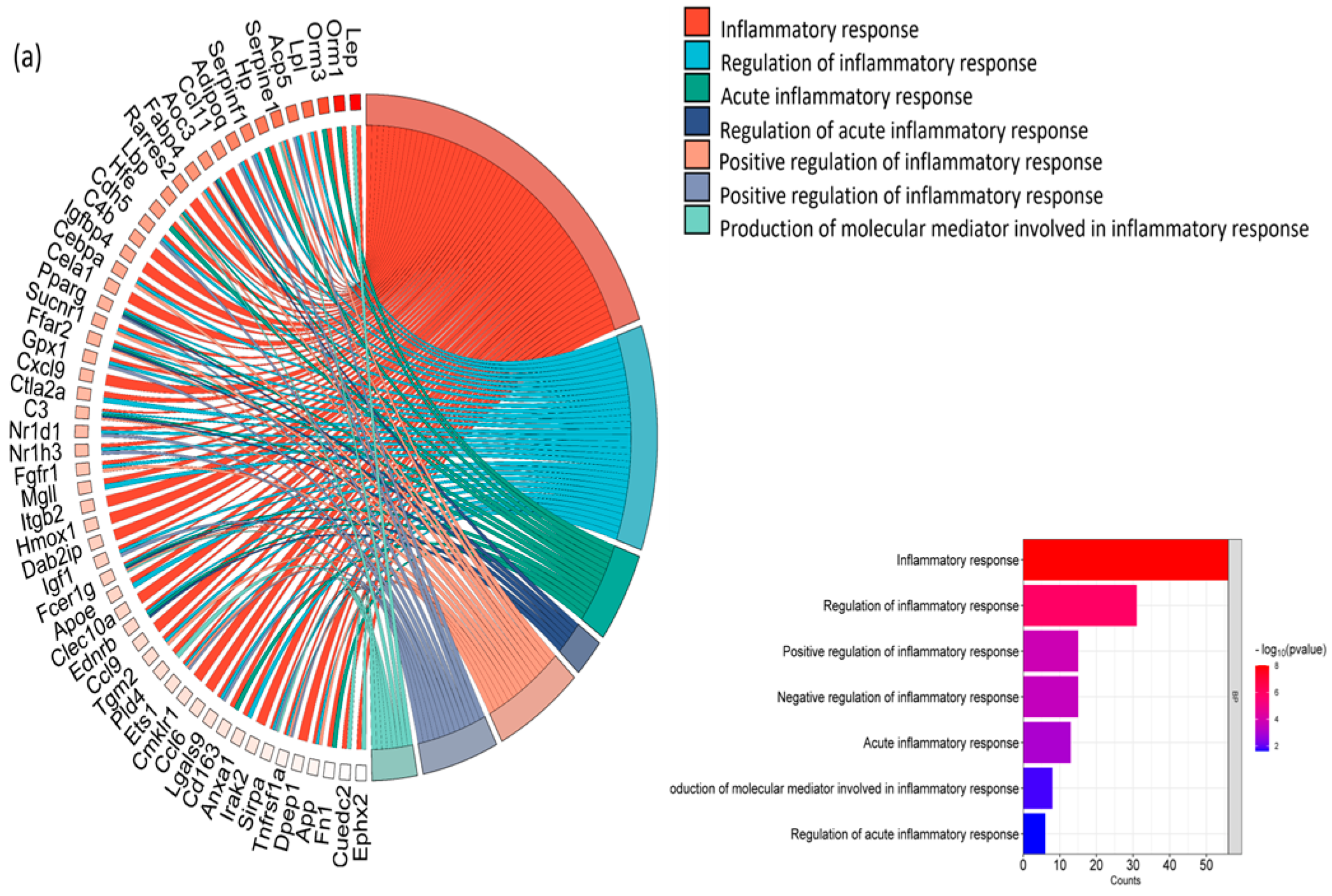 Biology 13 00943 g008a Biology 13 00943 g008a
