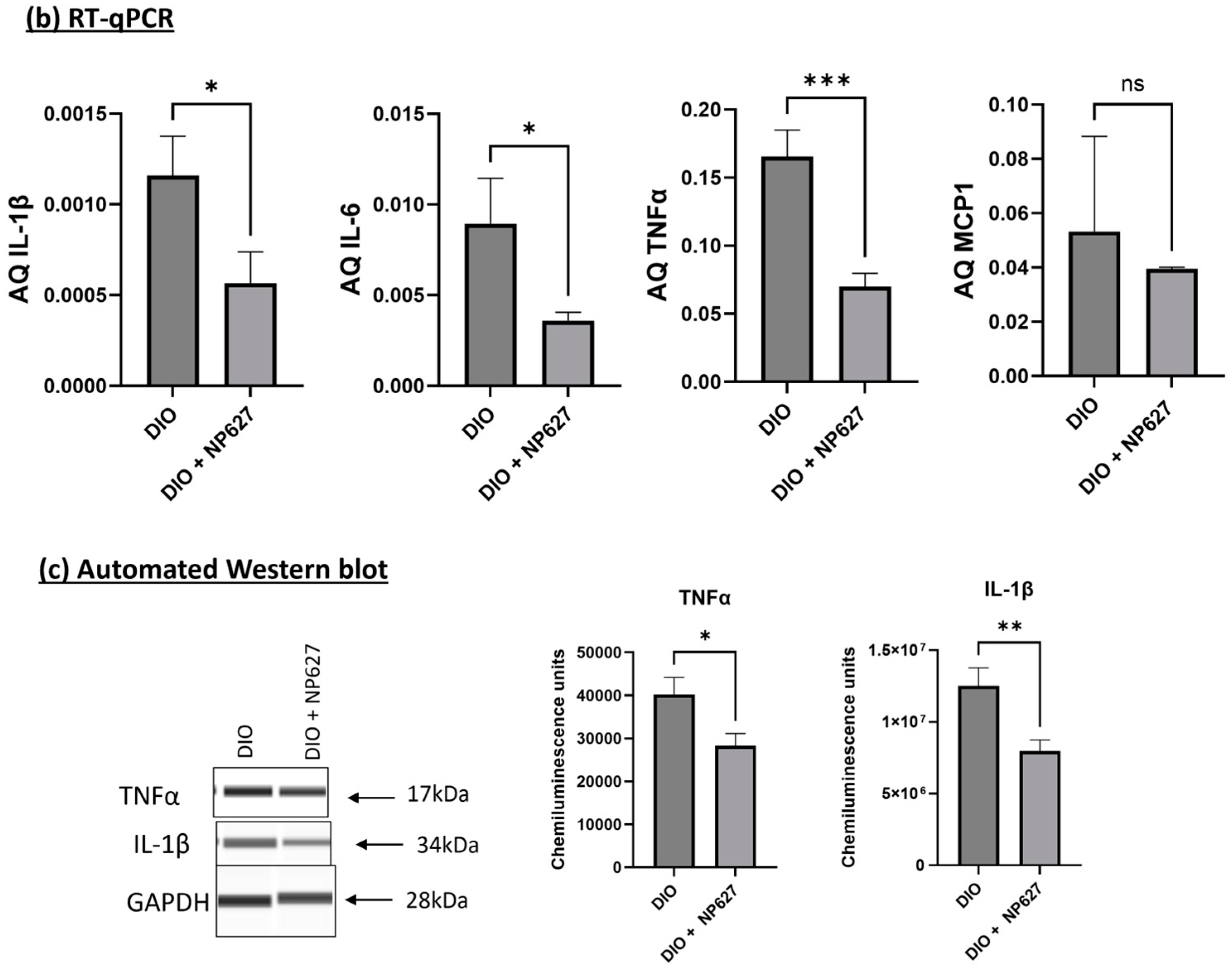 Biology 13 00943 g008b Biology 13 00943 g008b