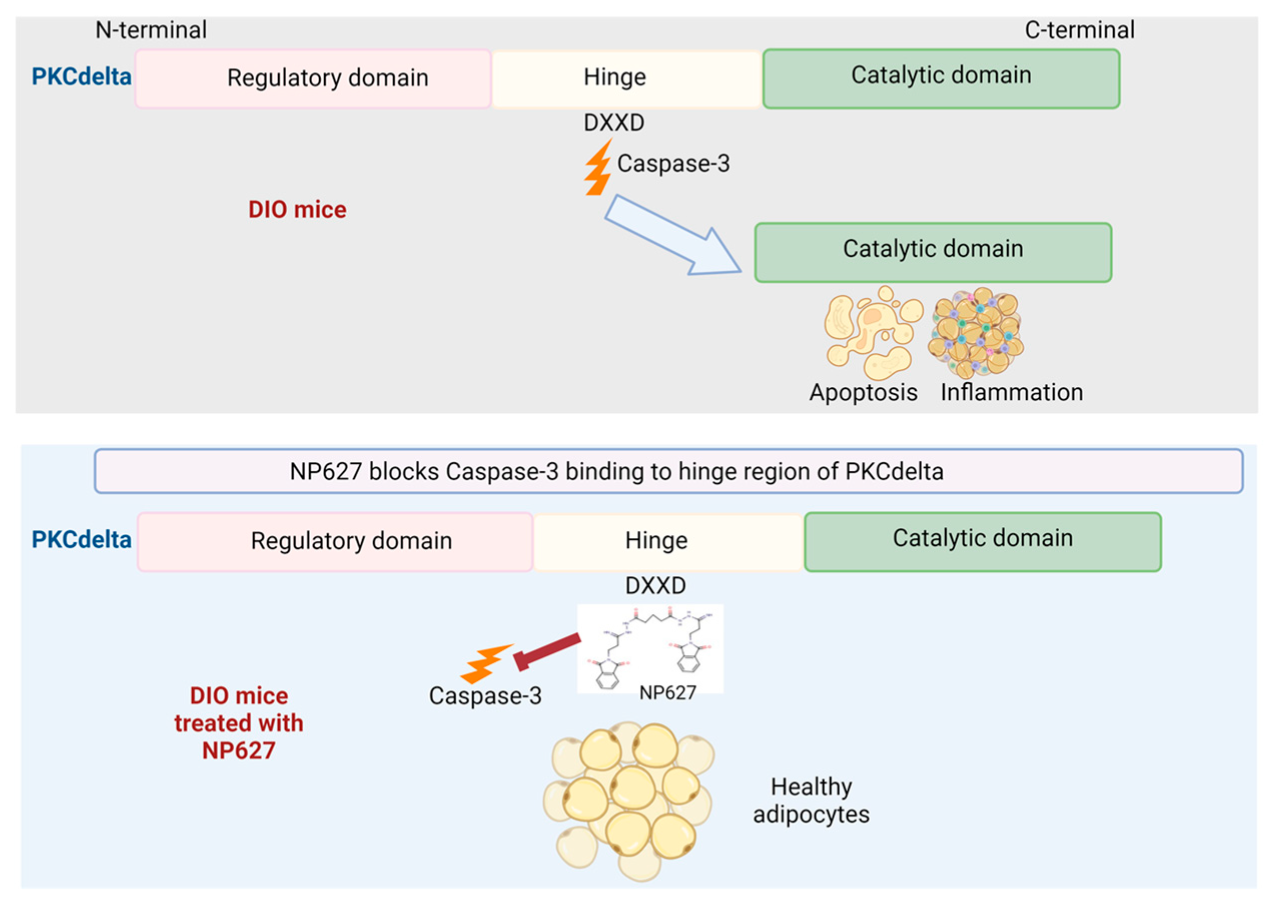 Biology 13 00943 g010 Biology 13 00943 g010