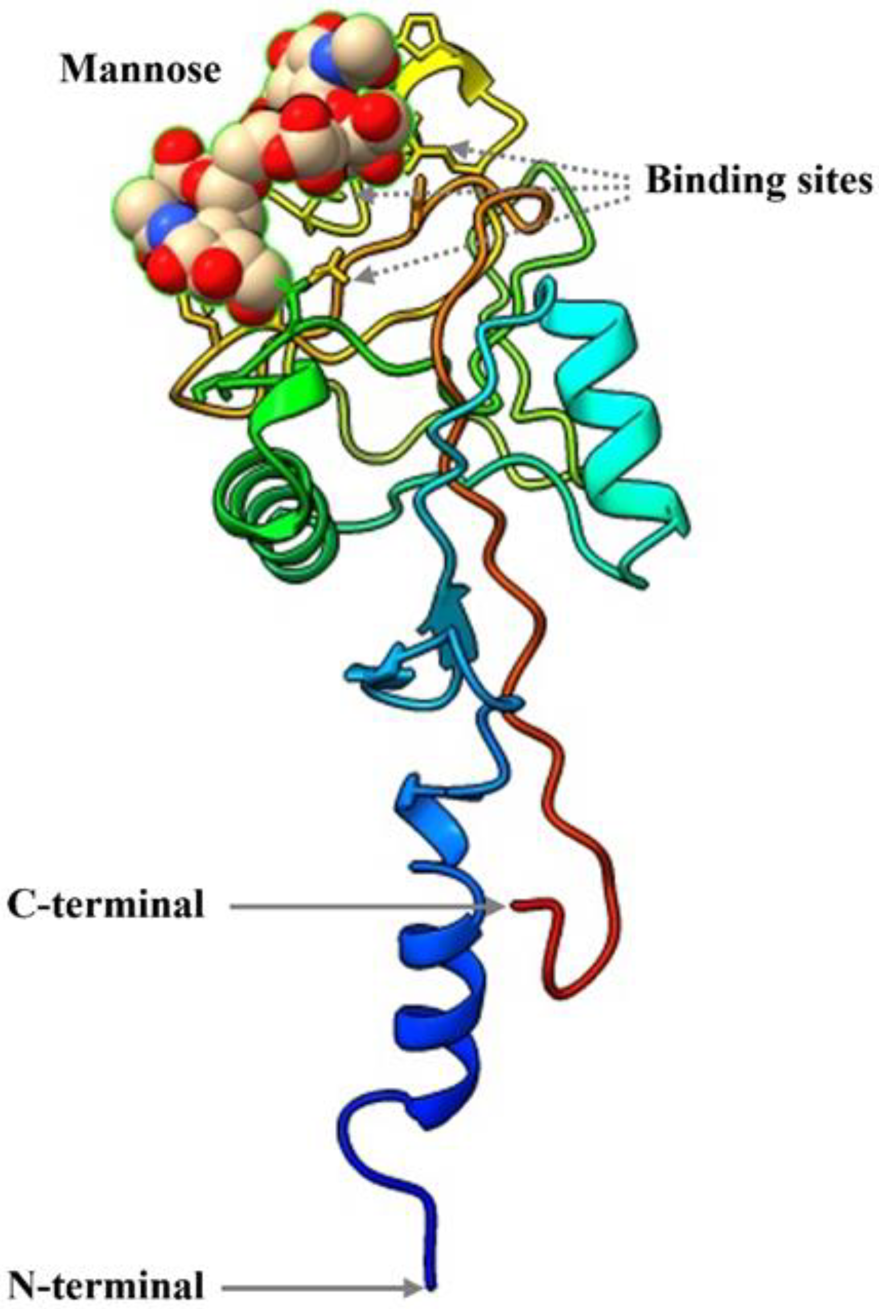 Biology 13 00944 g003