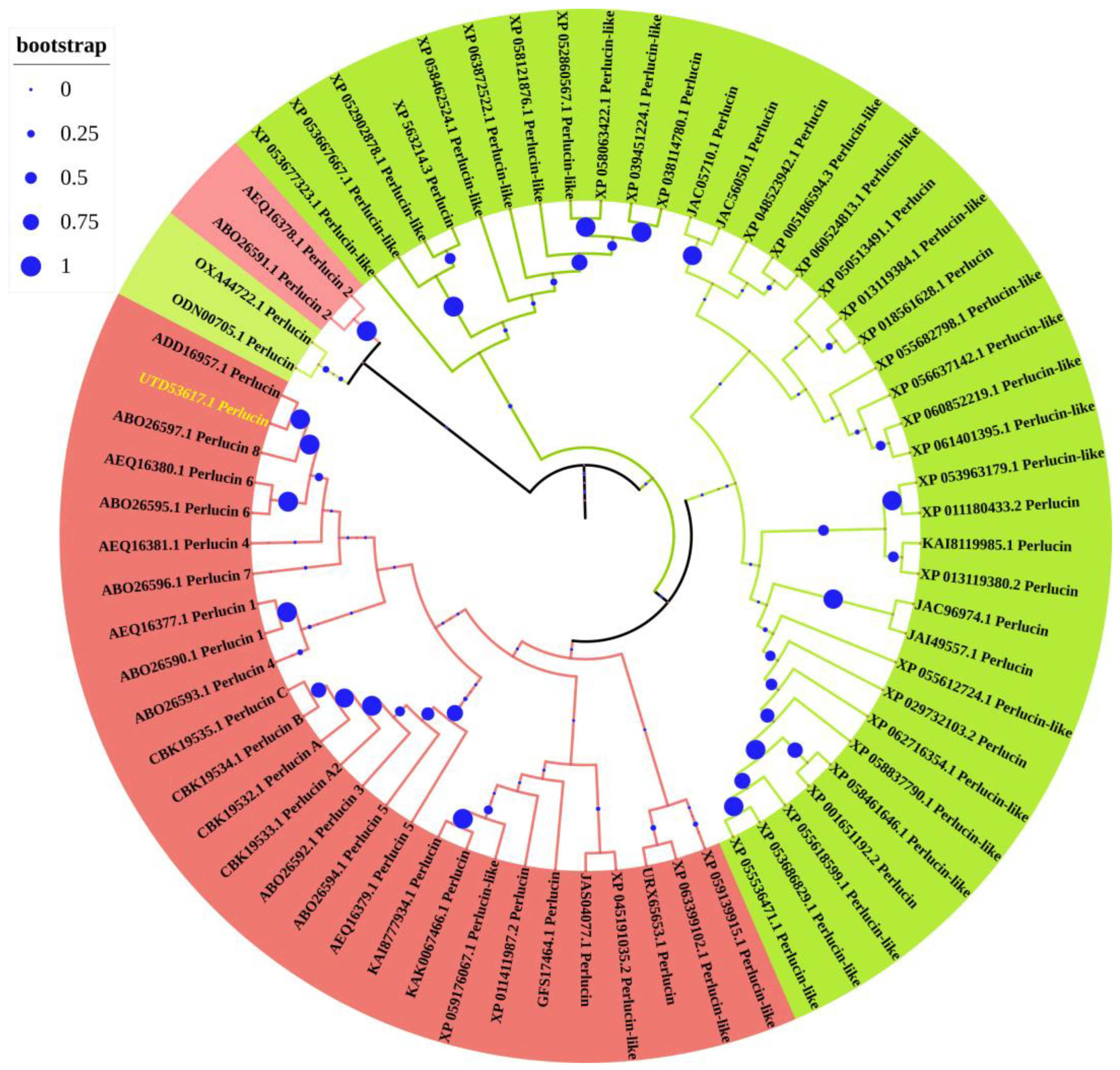 Biology 13 00944 g004