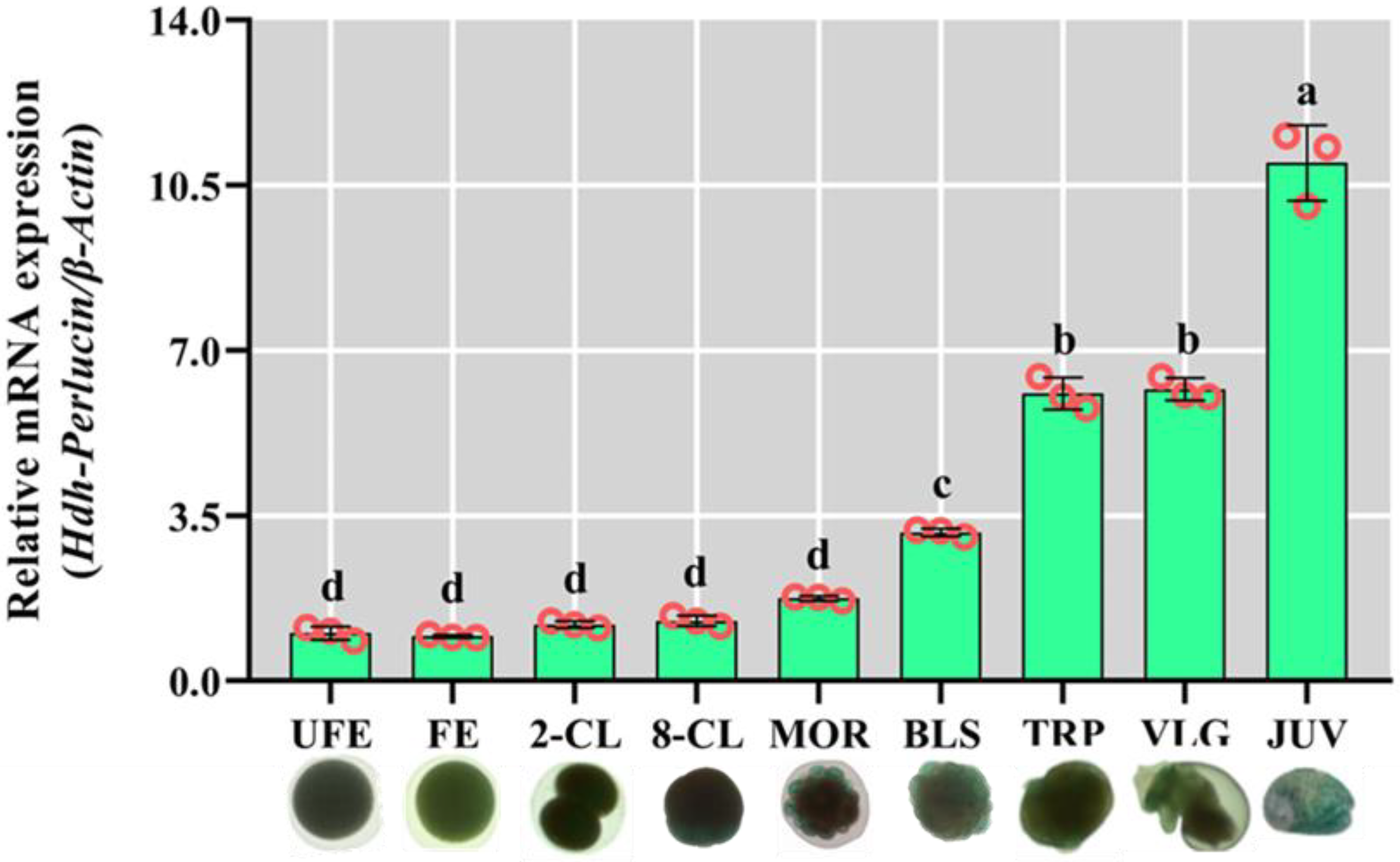 Biology 13 00944 g006