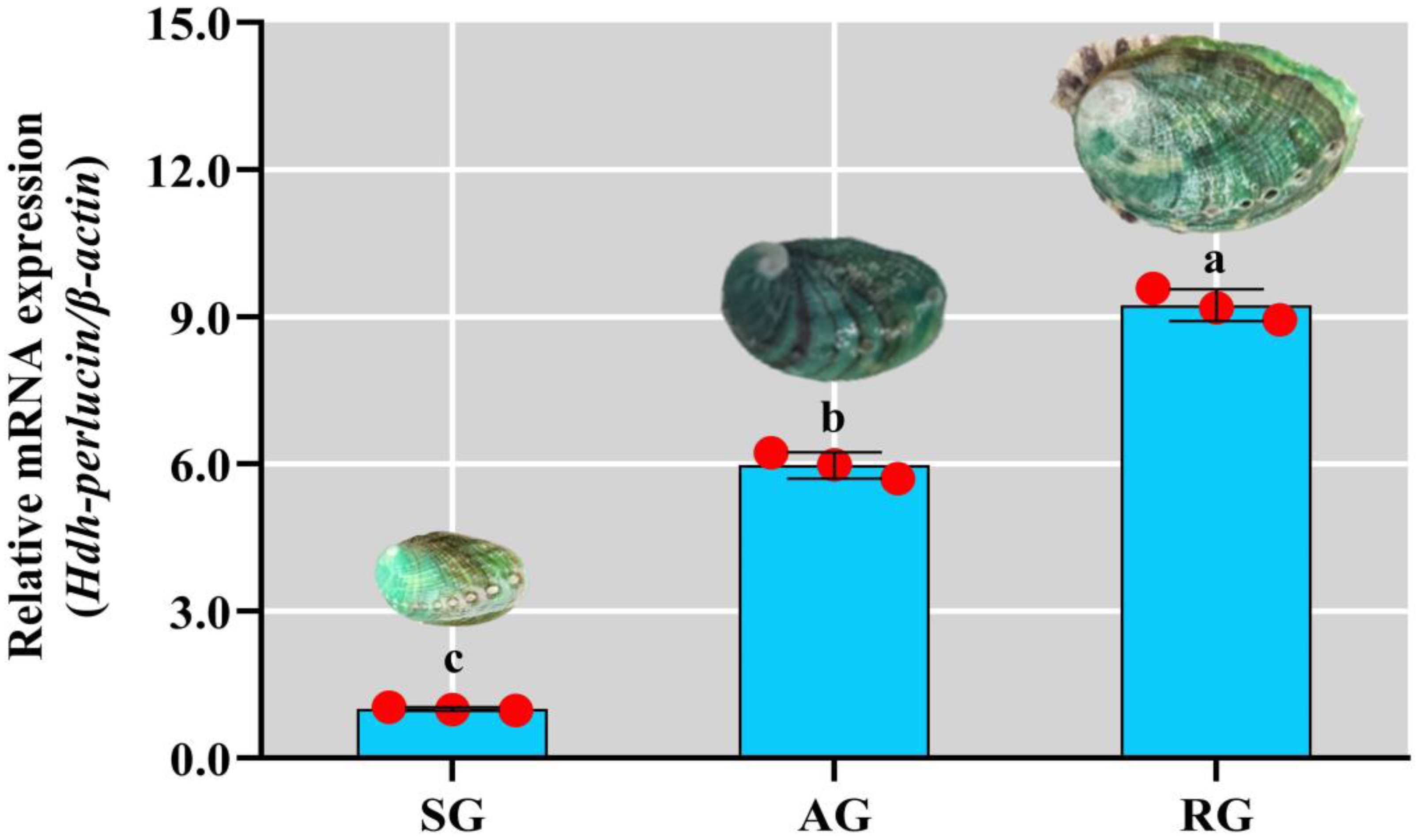 Biology 13 00944 g007