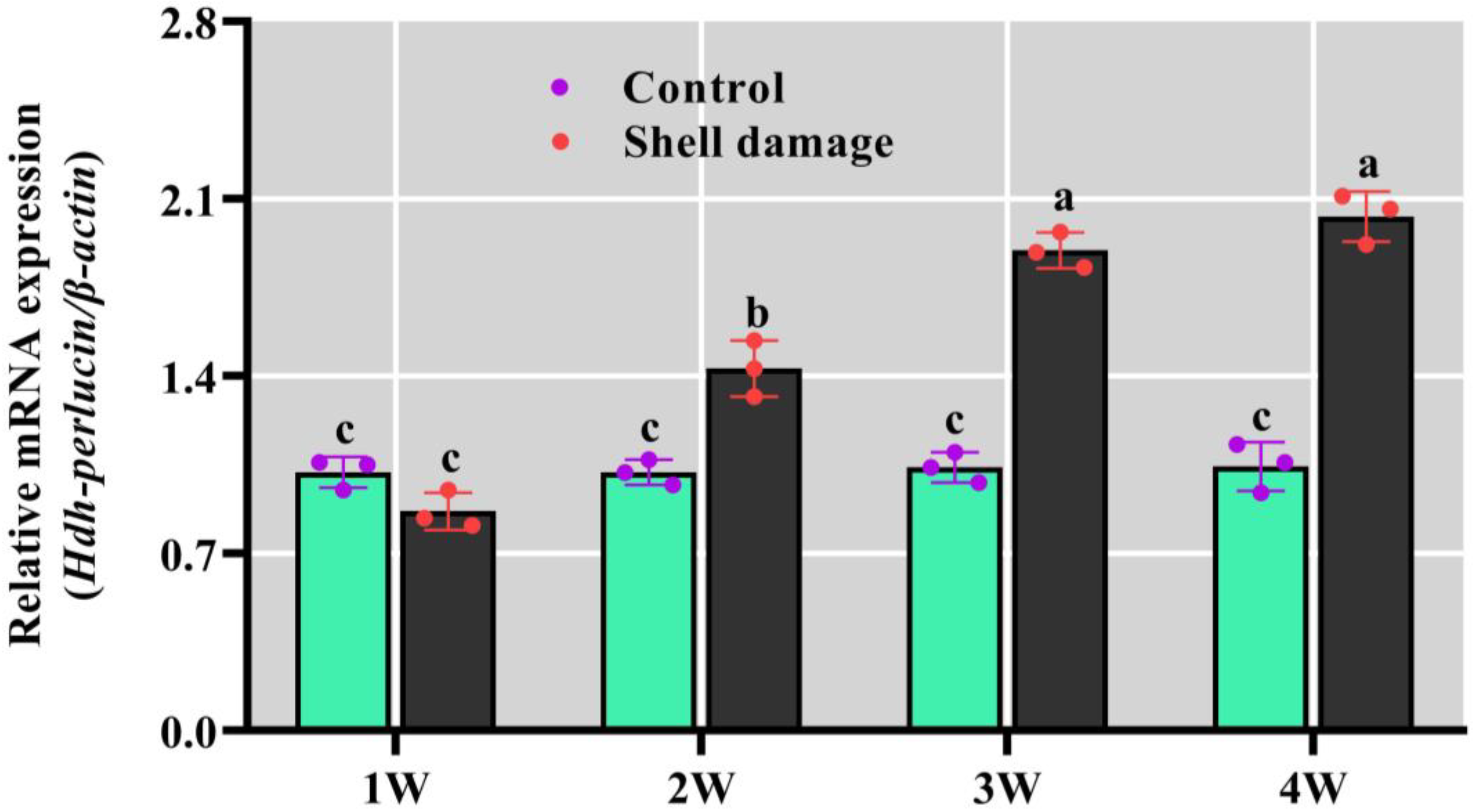 Biology 13 00944 g008