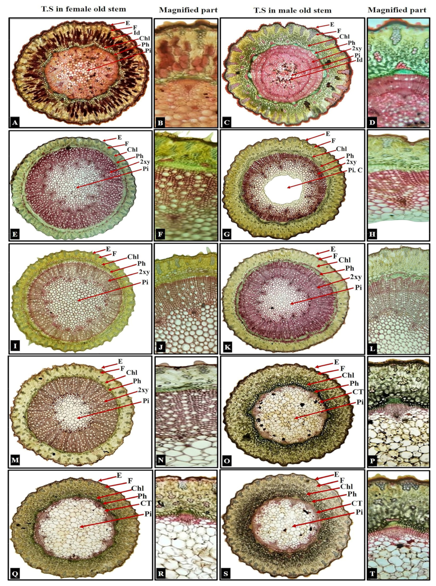 Biology 13 00947 g002 Biology 13 00947 g002