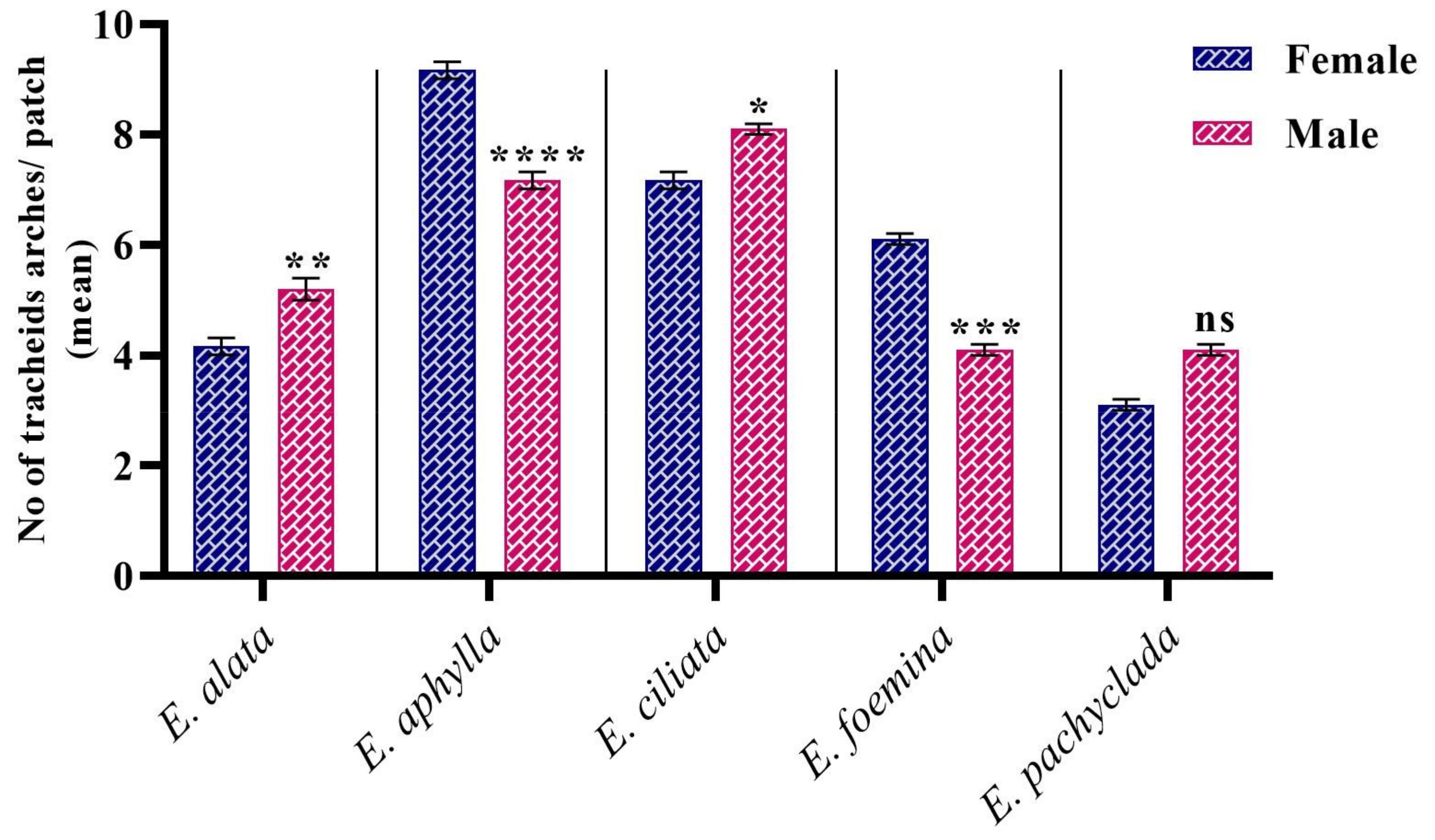 Biology 13 00947 g006 Biology 13 00947 g006