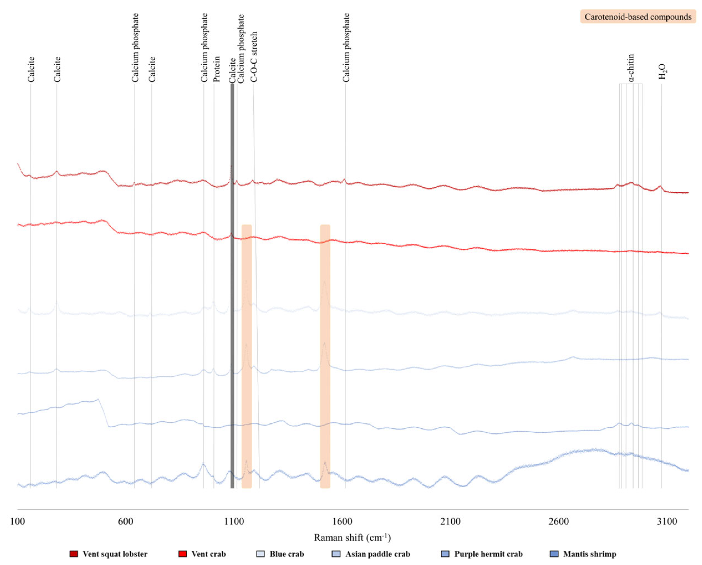 Biology 13 00956 g003