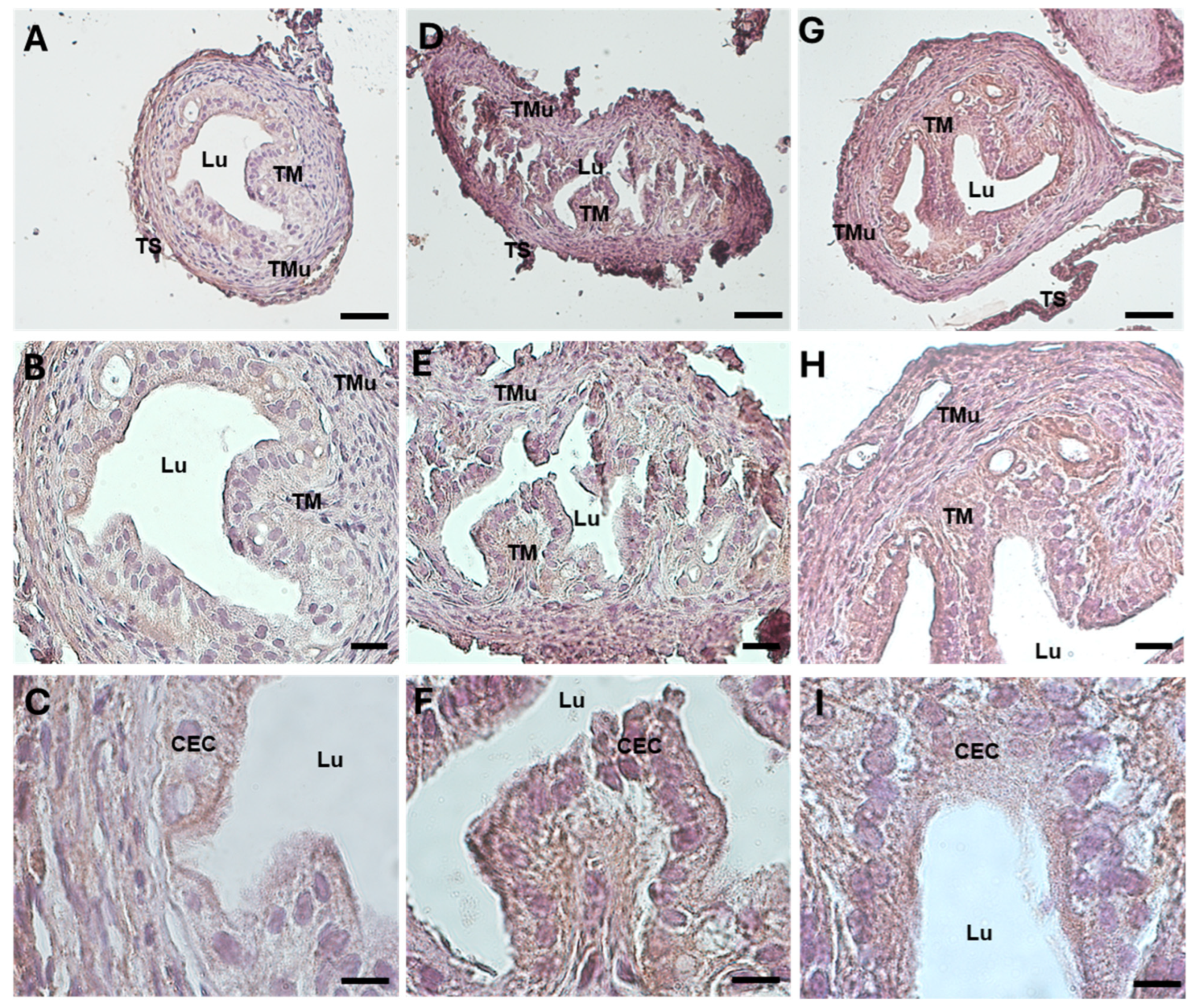 Biology 13 00964 g005
