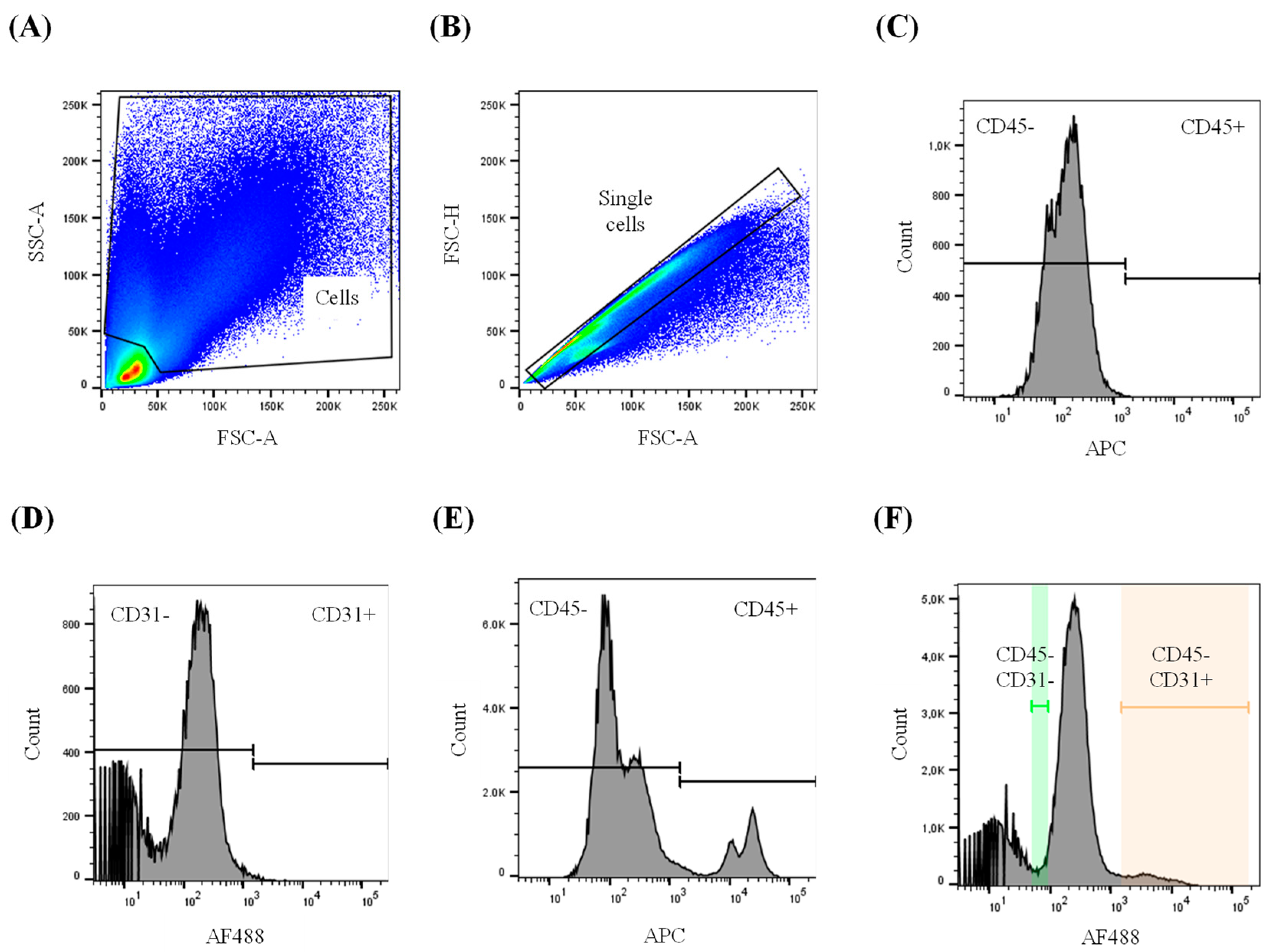 Biology 13 00965 g001