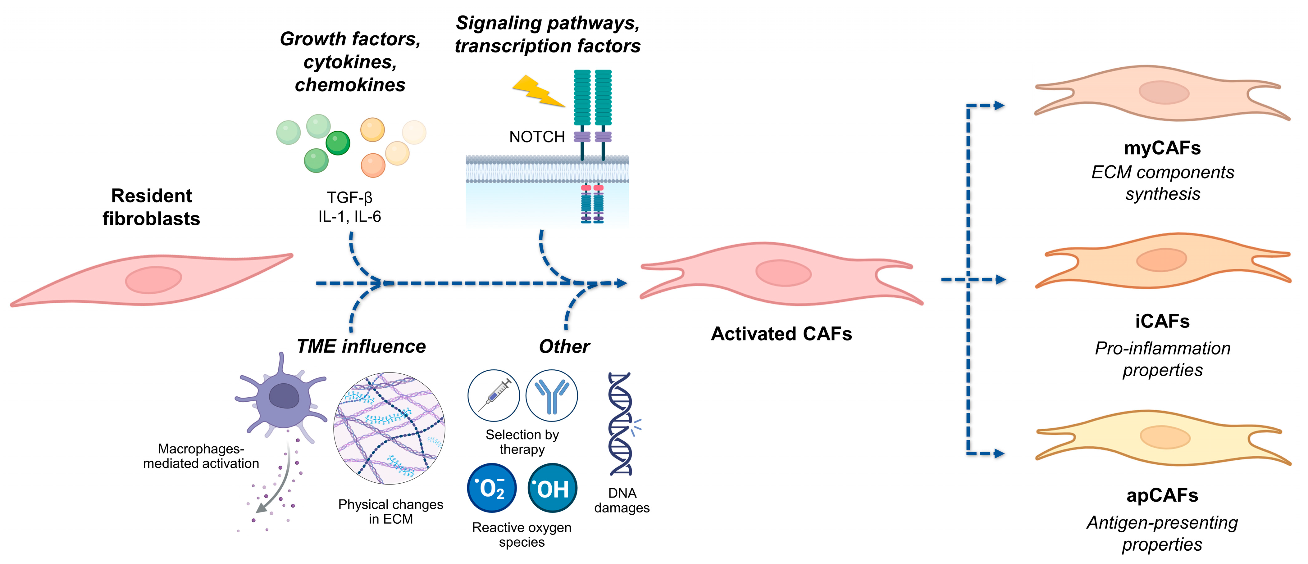 Biology 13 00967 g004