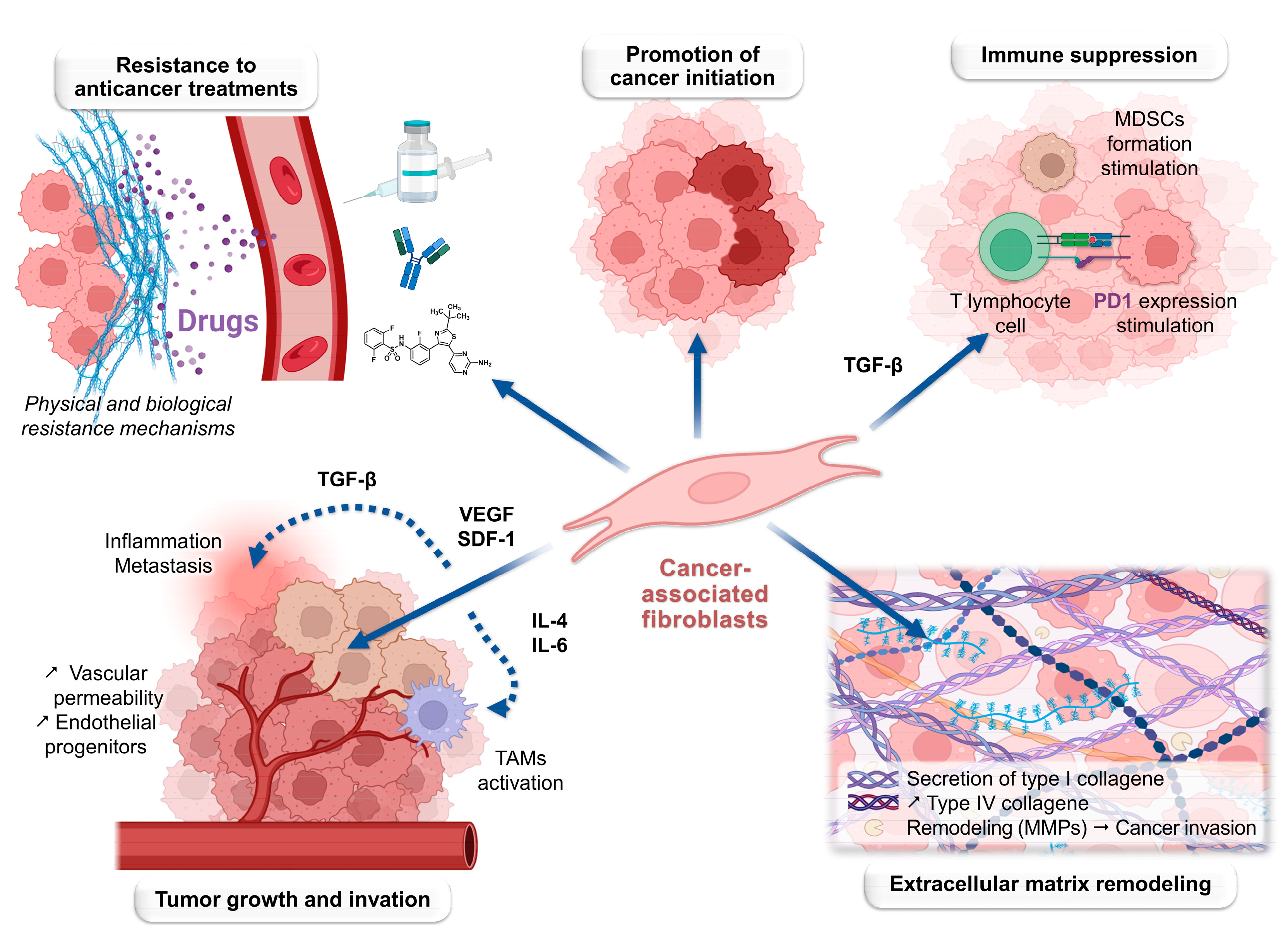 Biology 13 00967 g005