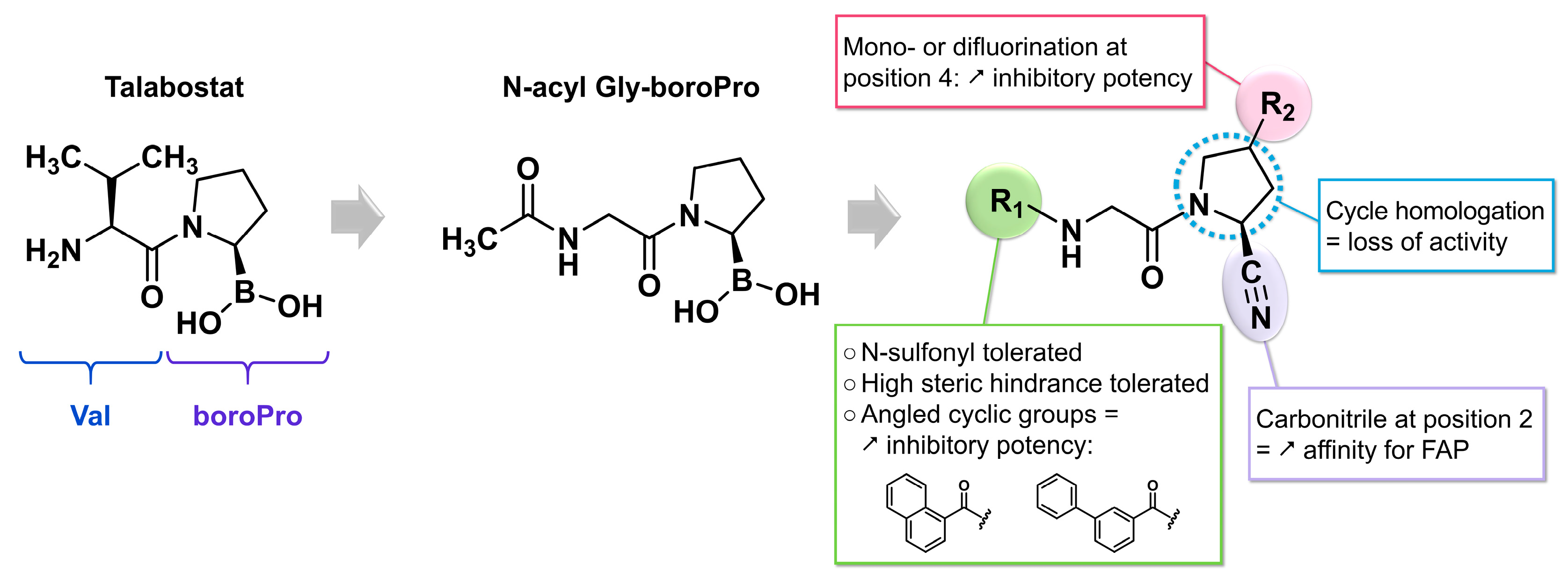 Biology 13 00967 g008