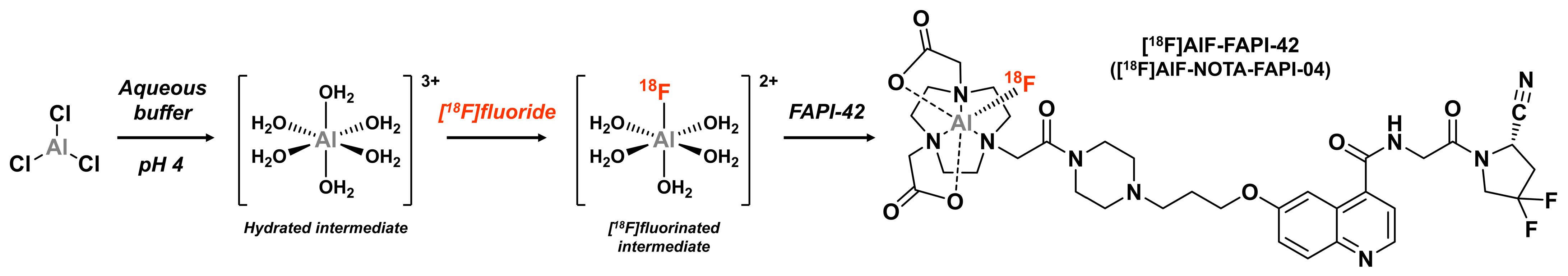 Biology 13 00967 g016