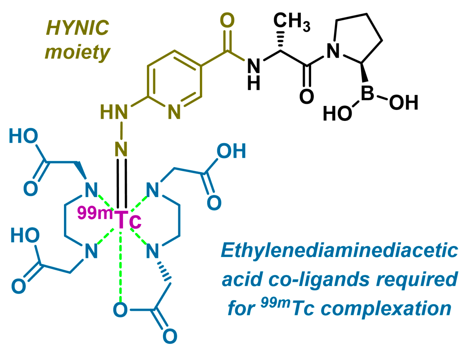 Biology 13 00967 g020