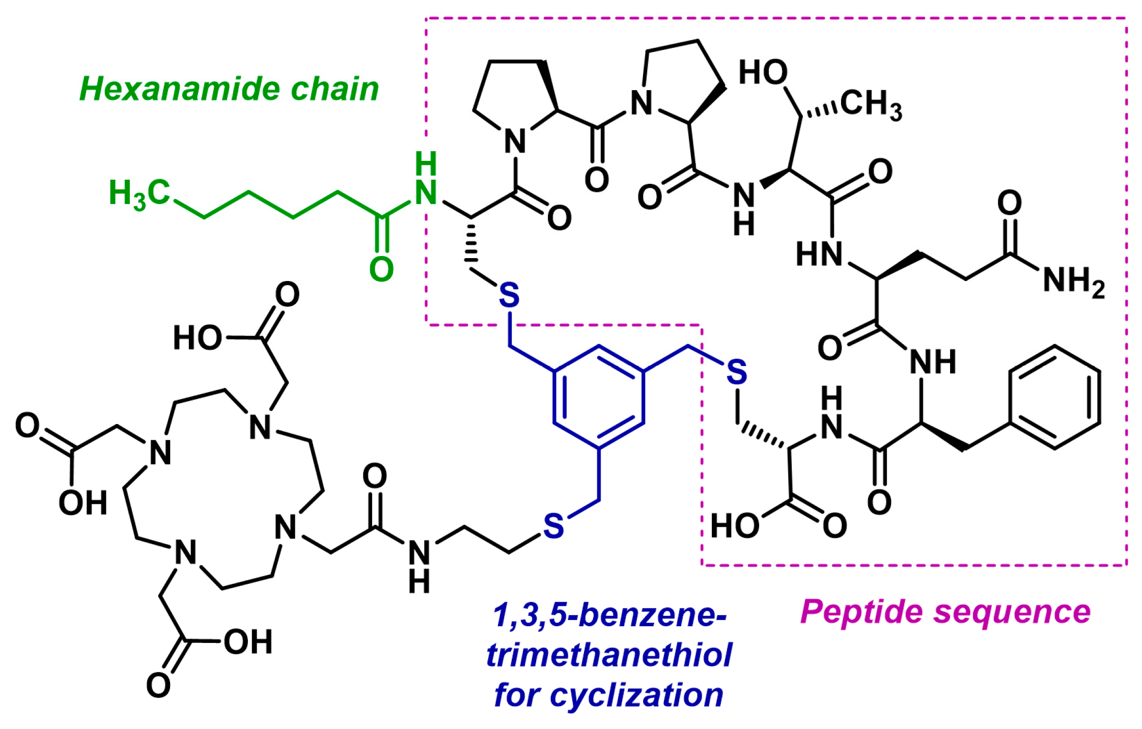 Biology 13 00967 g022