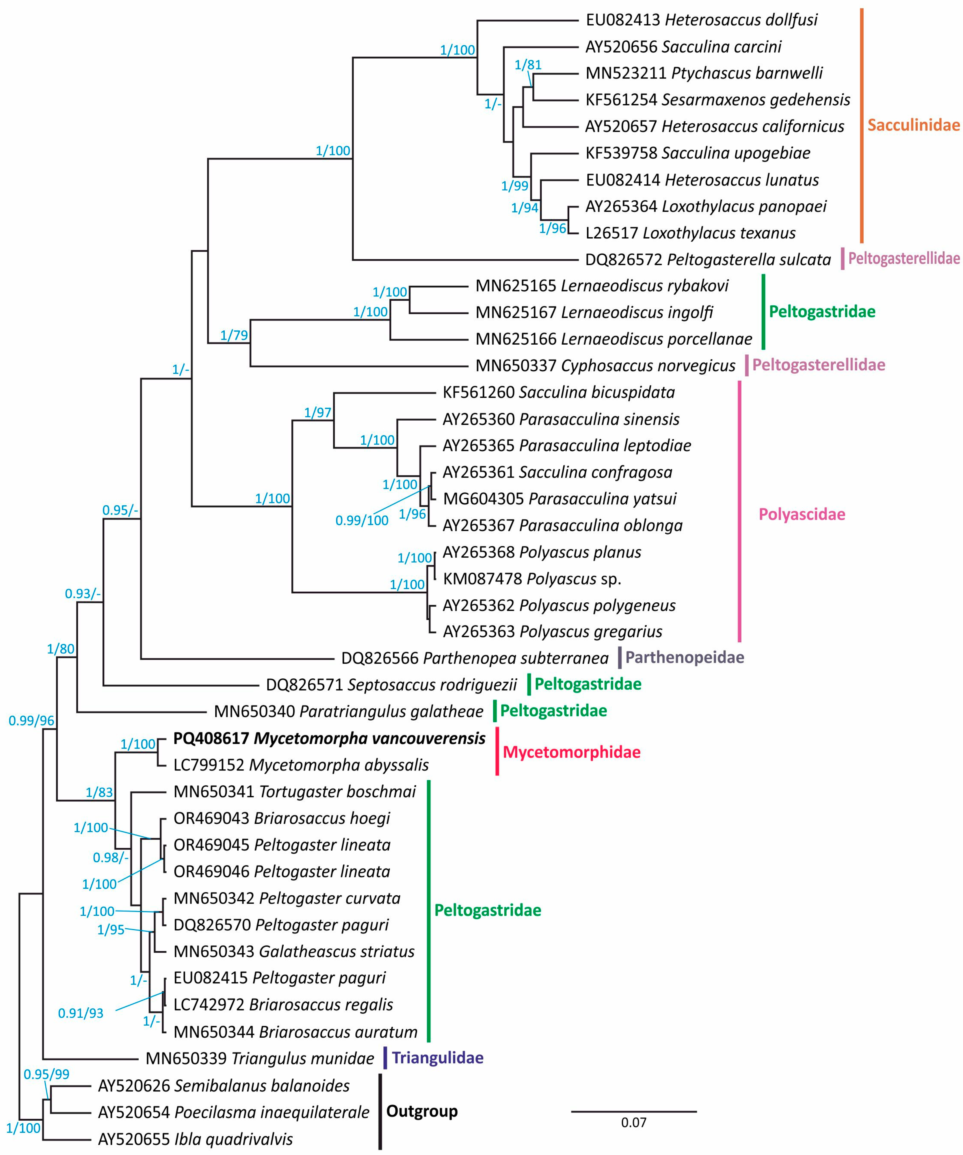 Biology 13 00968 g002