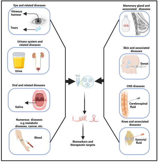 プレイアーデンオーダー Z/X -Zillions of enemy X- | 商品一覧 | TCG / サプライ | 株式