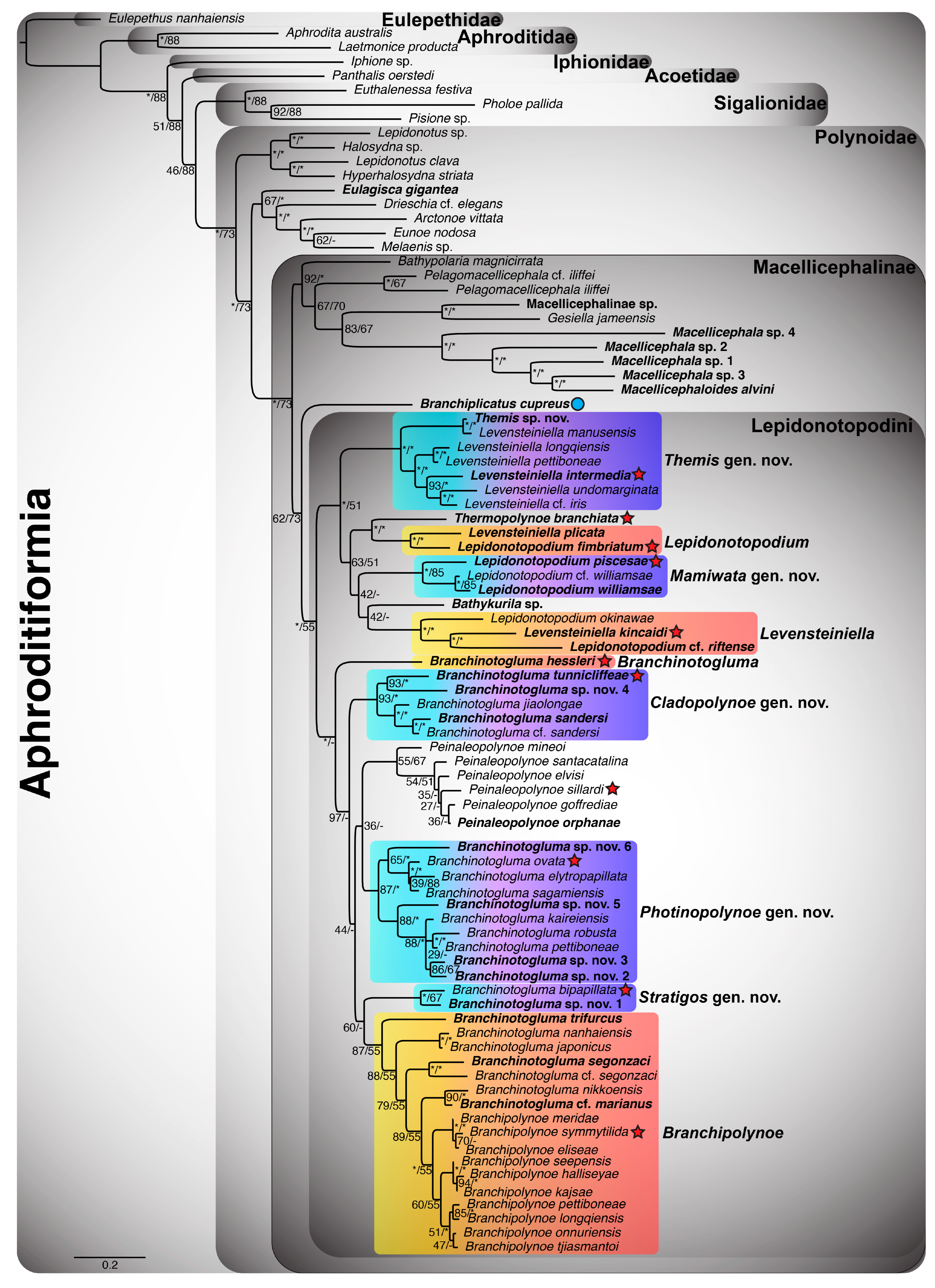 Biology 13 00979 g002