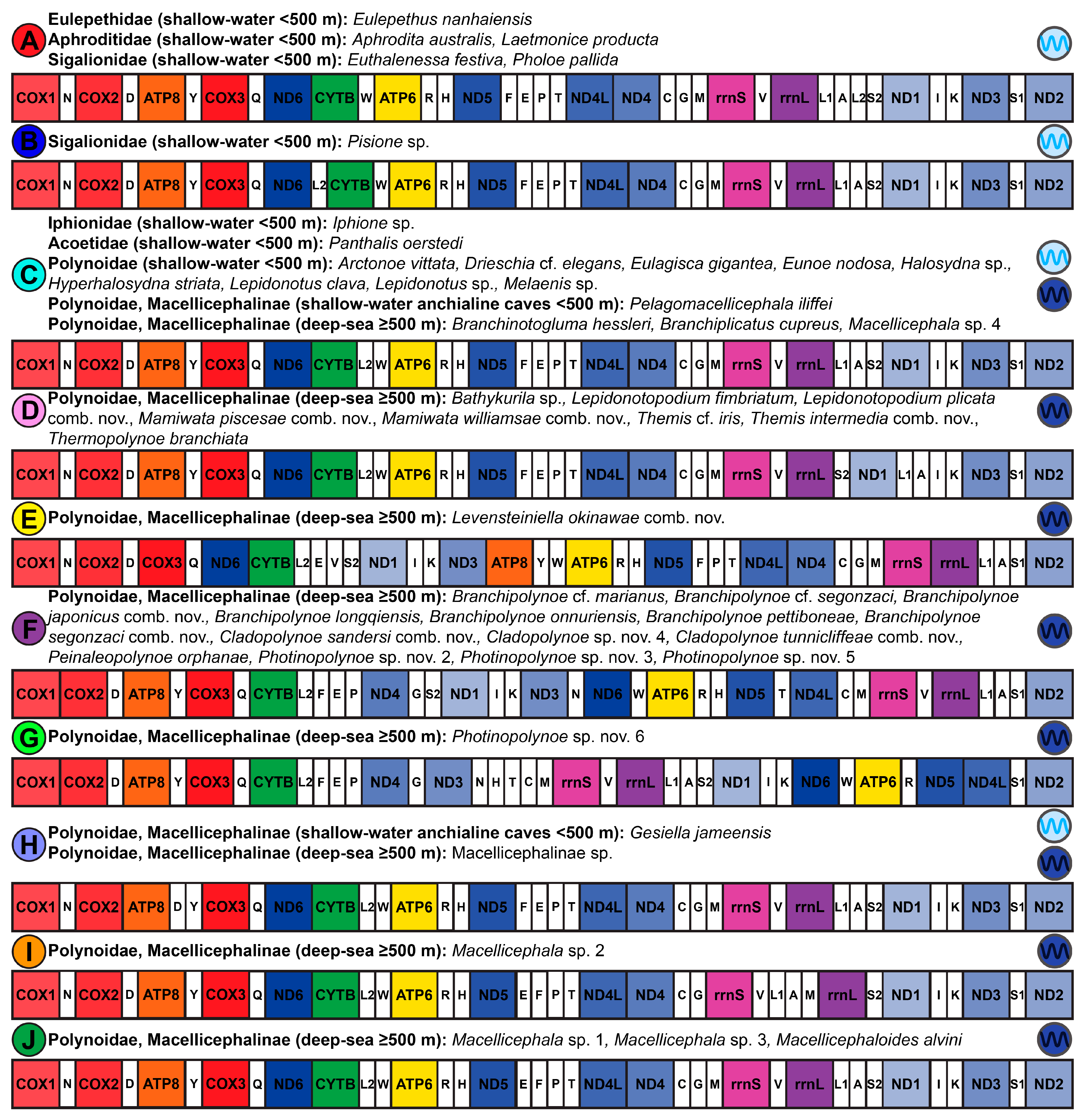 Biology 13 00979 g003