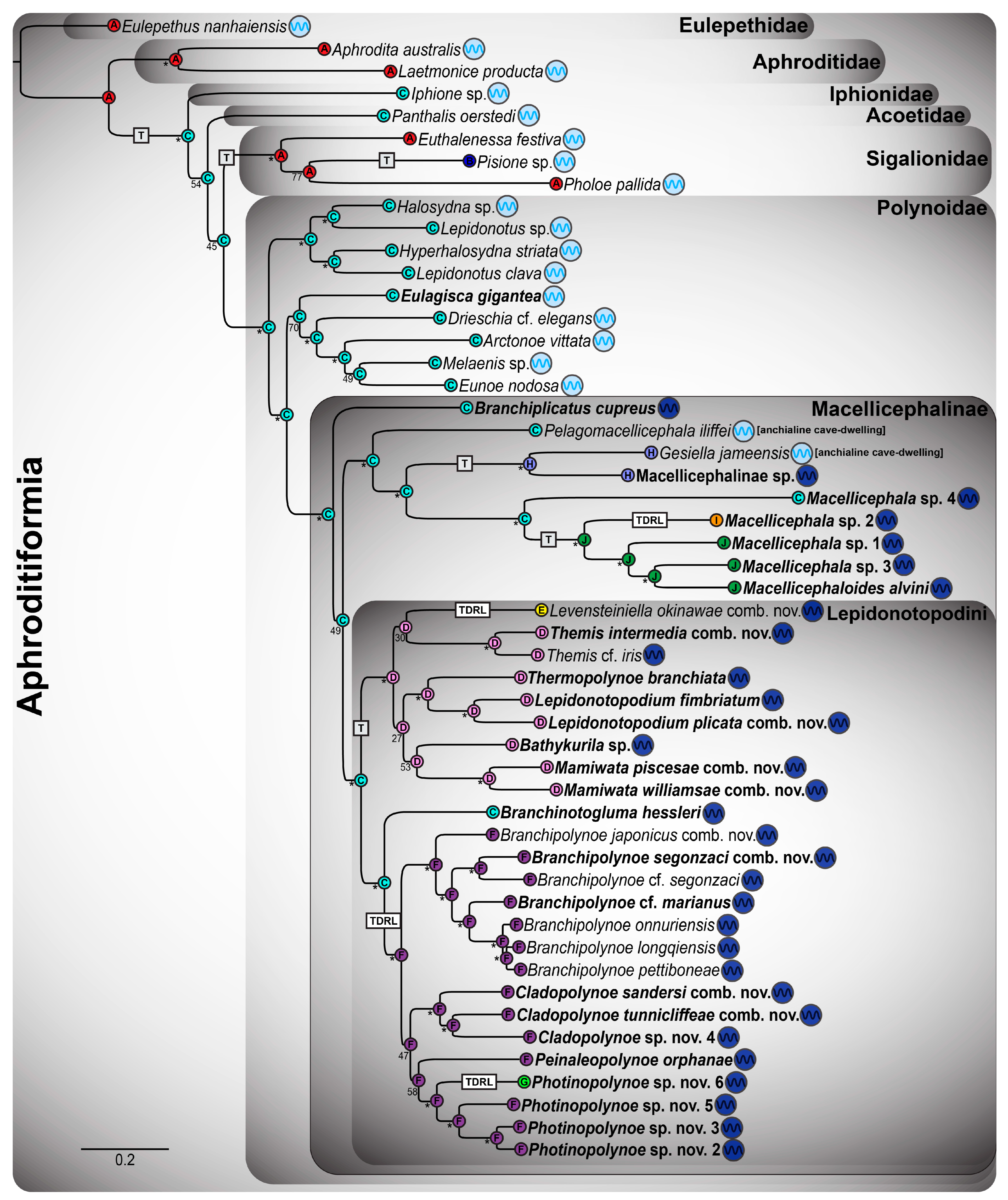 Biology 13 00979 g004