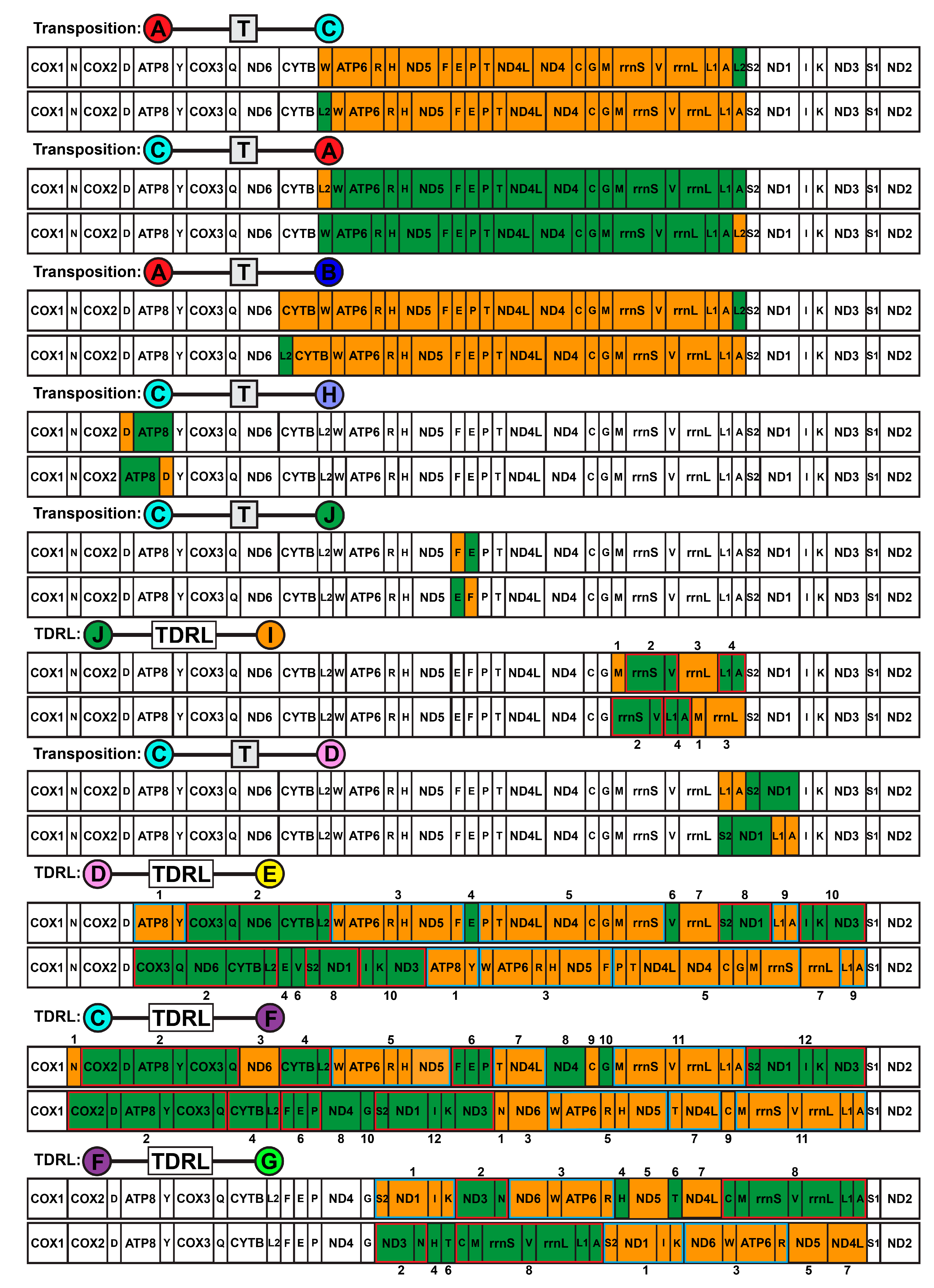 Biology 13 00979 g005
