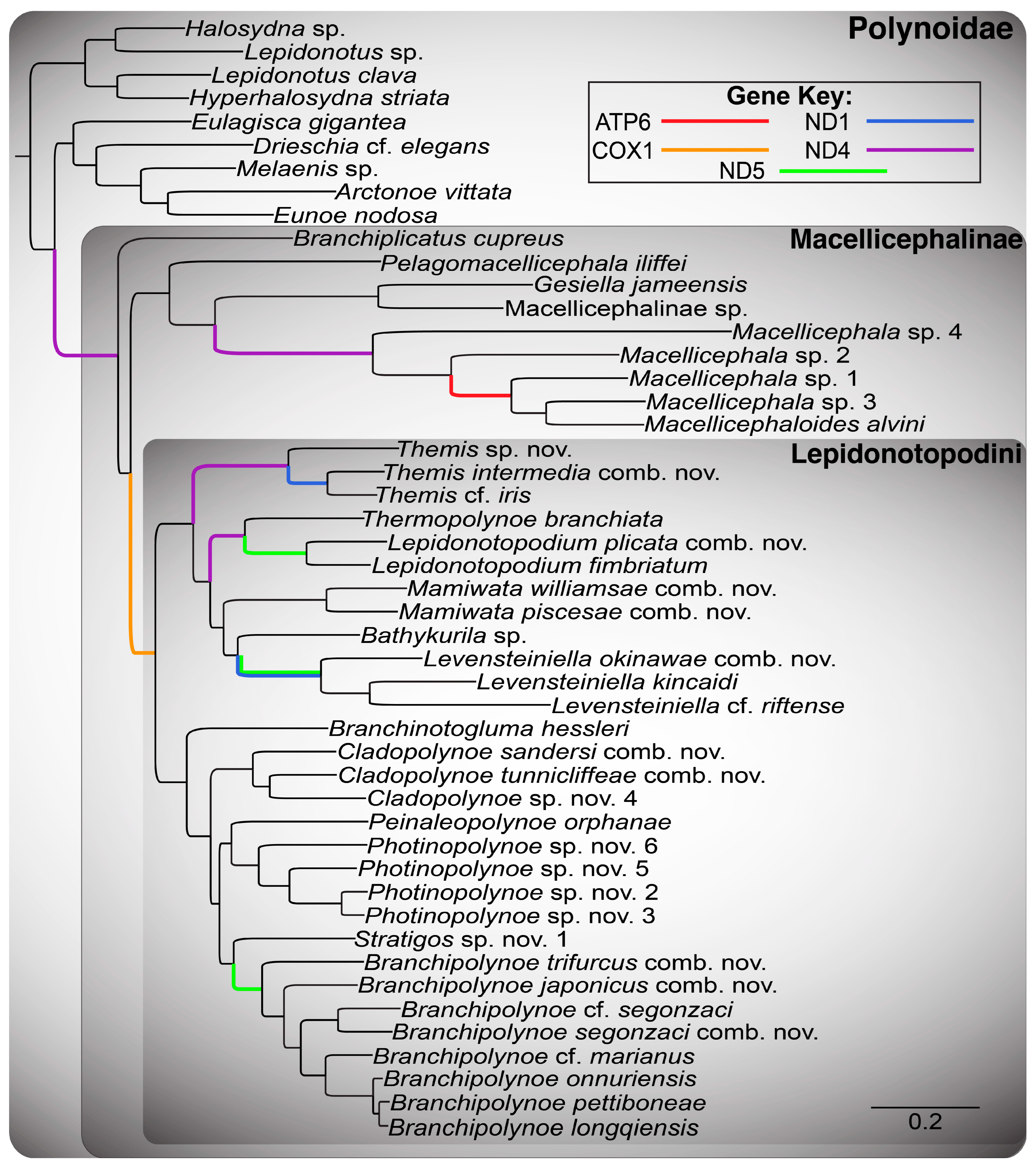 Biology 13 00979 g007