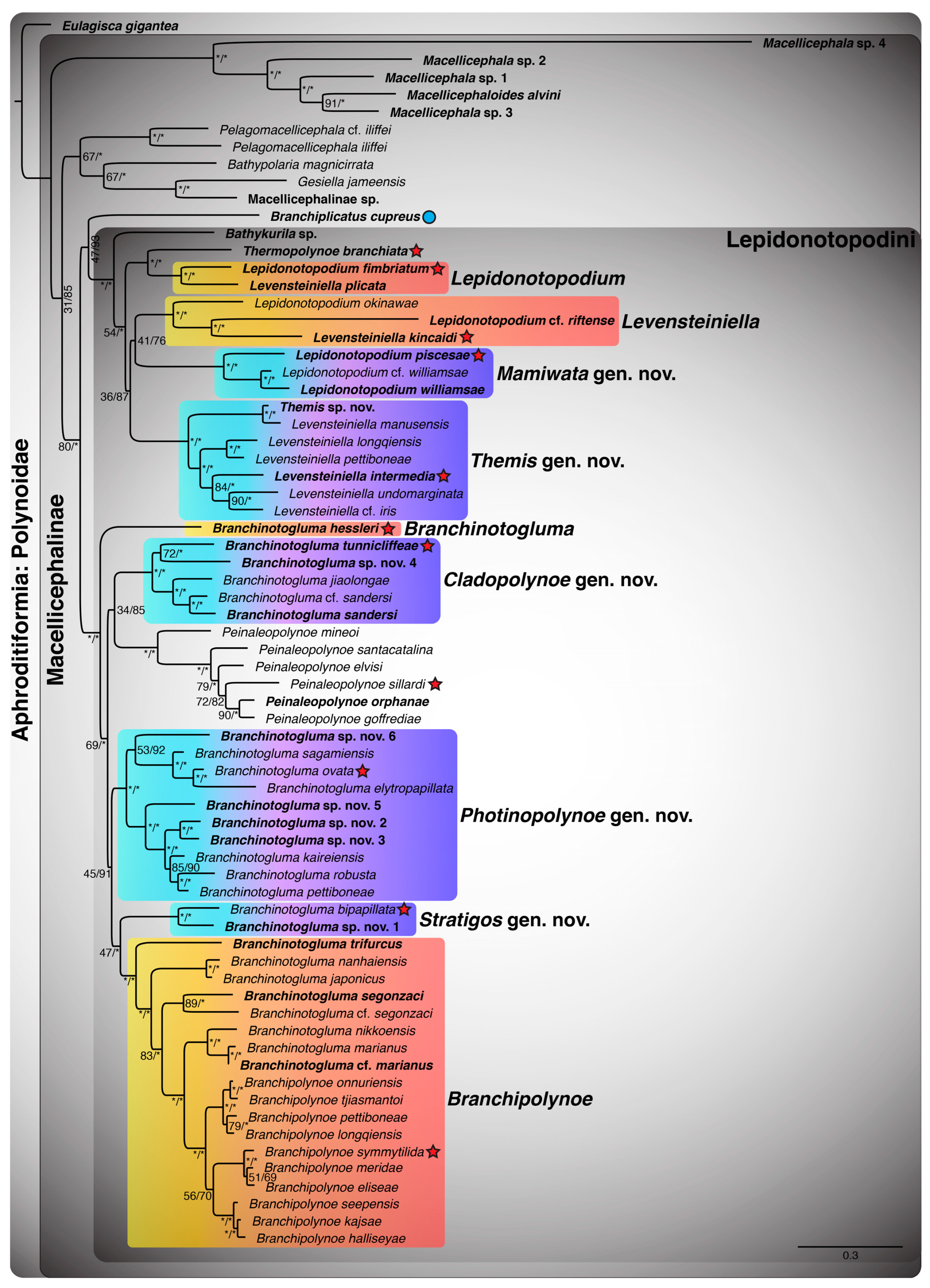 Biology 13 00979 g0a1