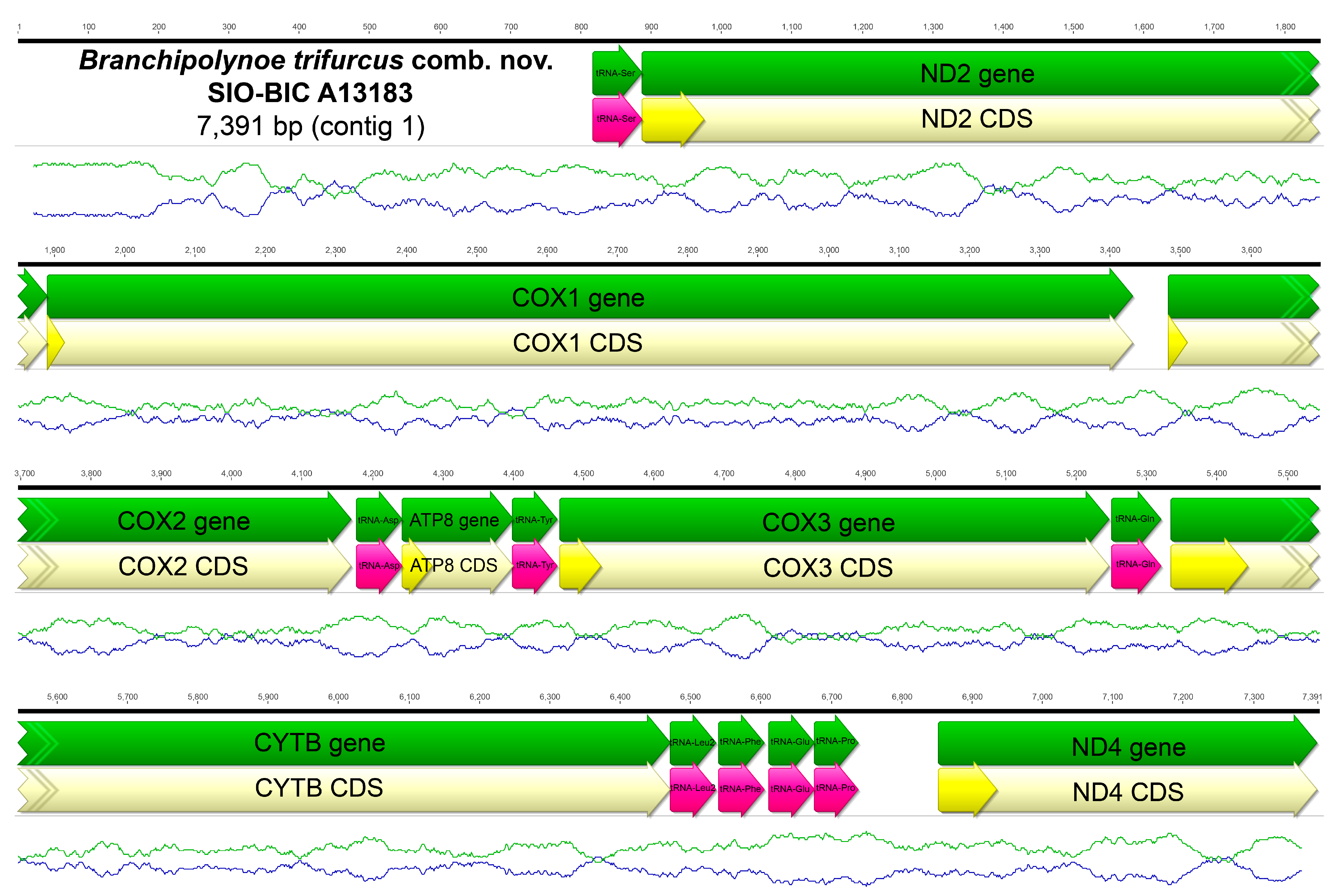 Biology 13 00979 g0a10