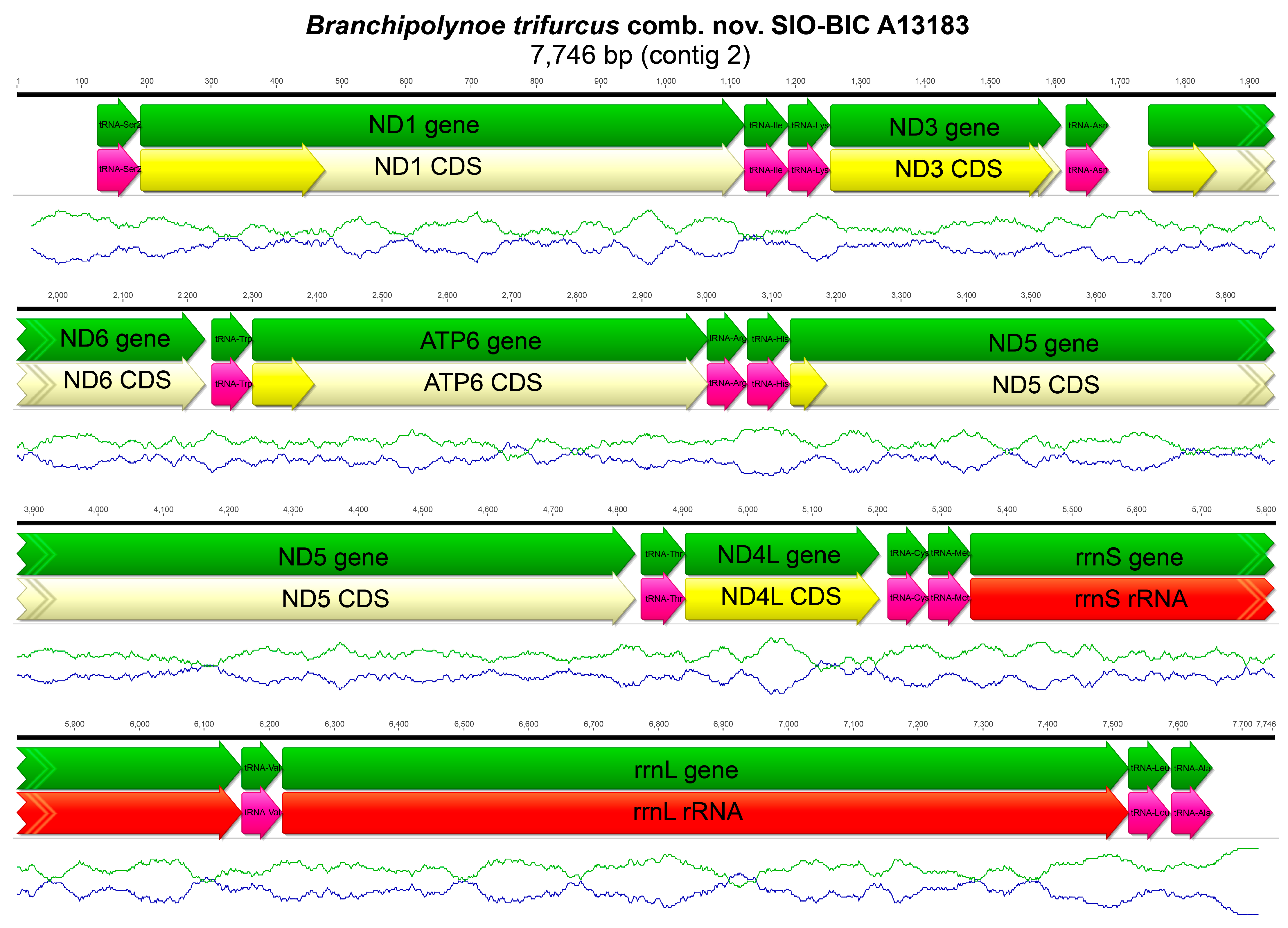 Biology 13 00979 g0a11