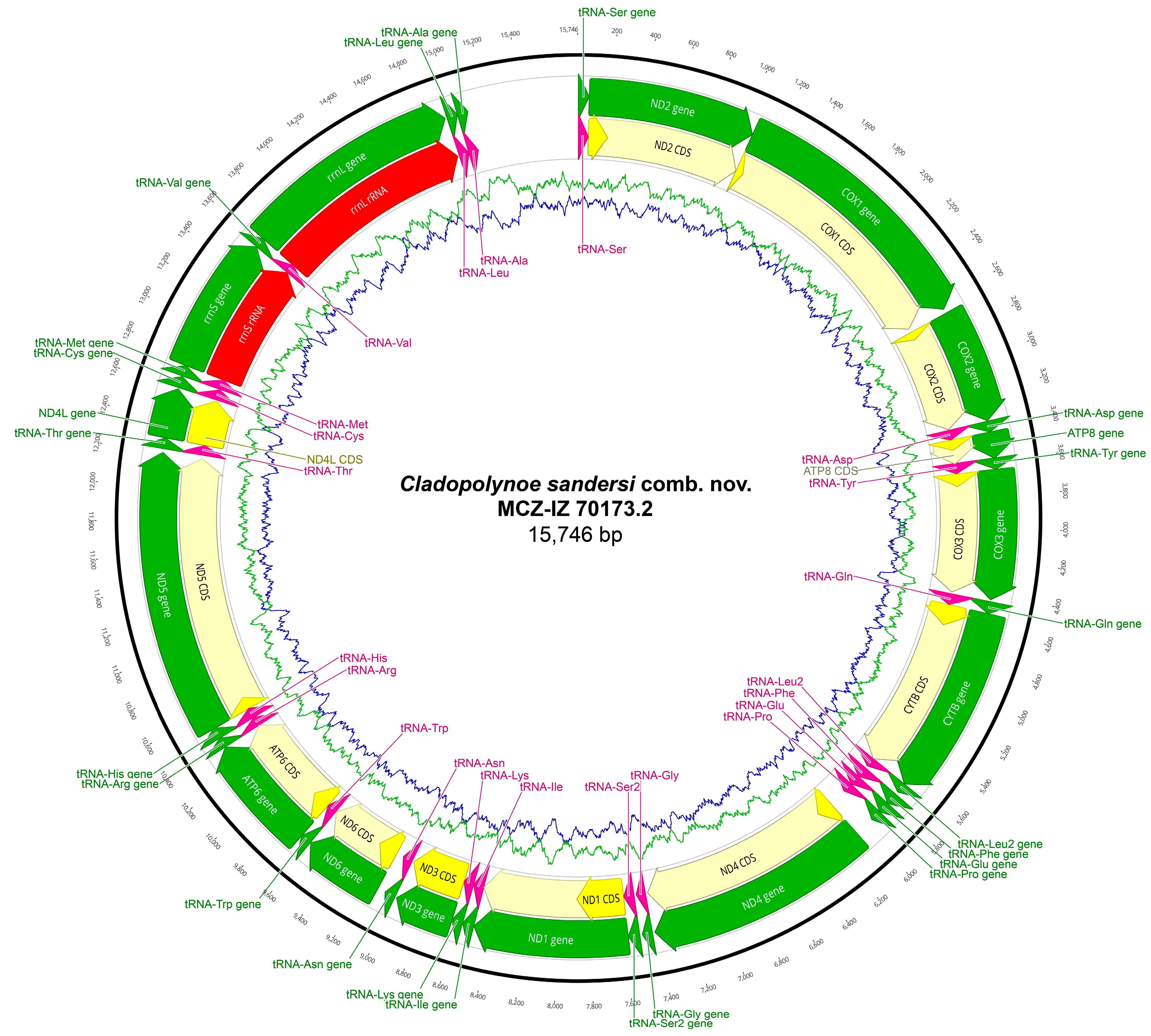 Biology 13 00979 g0a12