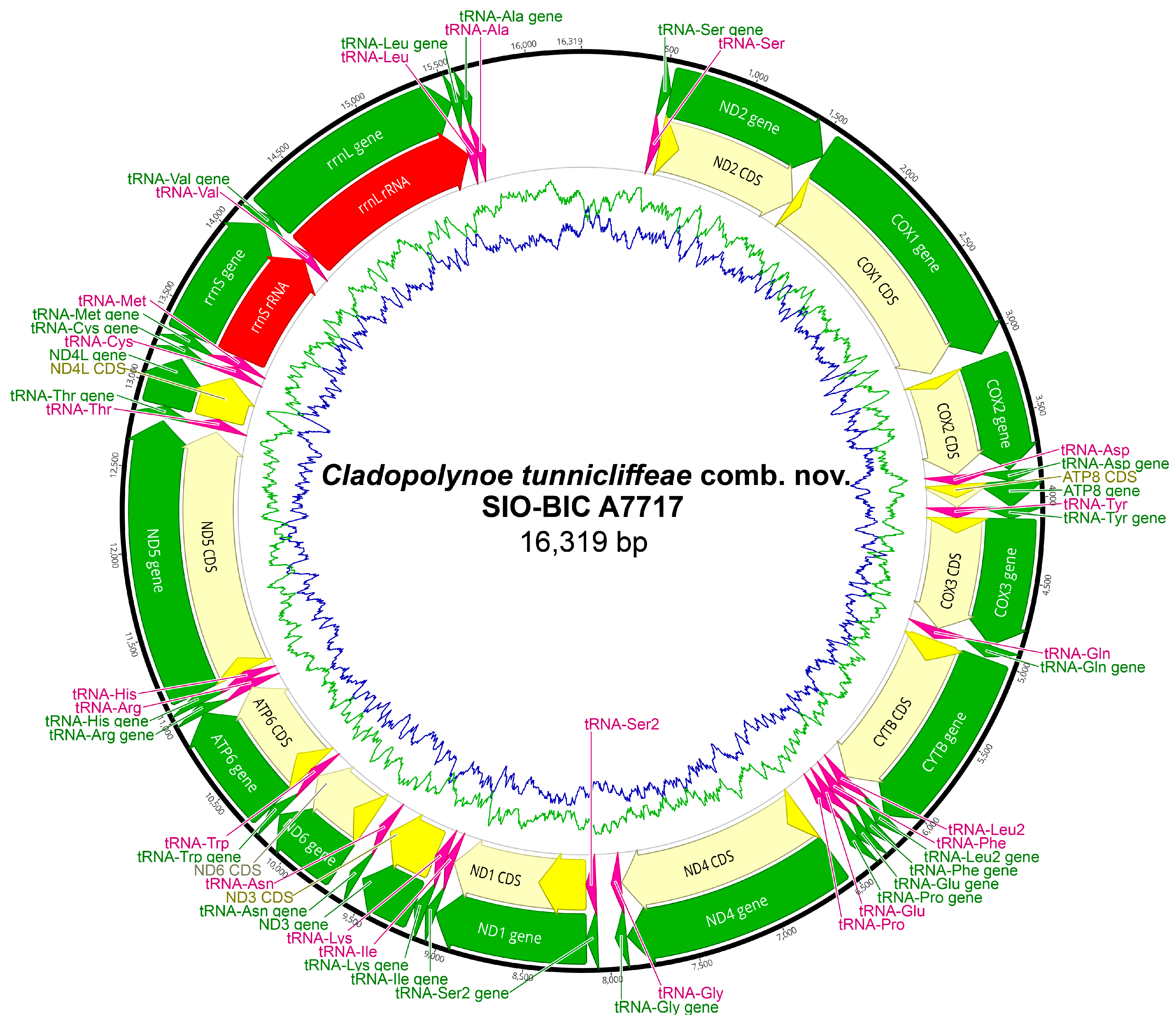 Biology 13 00979 g0a14