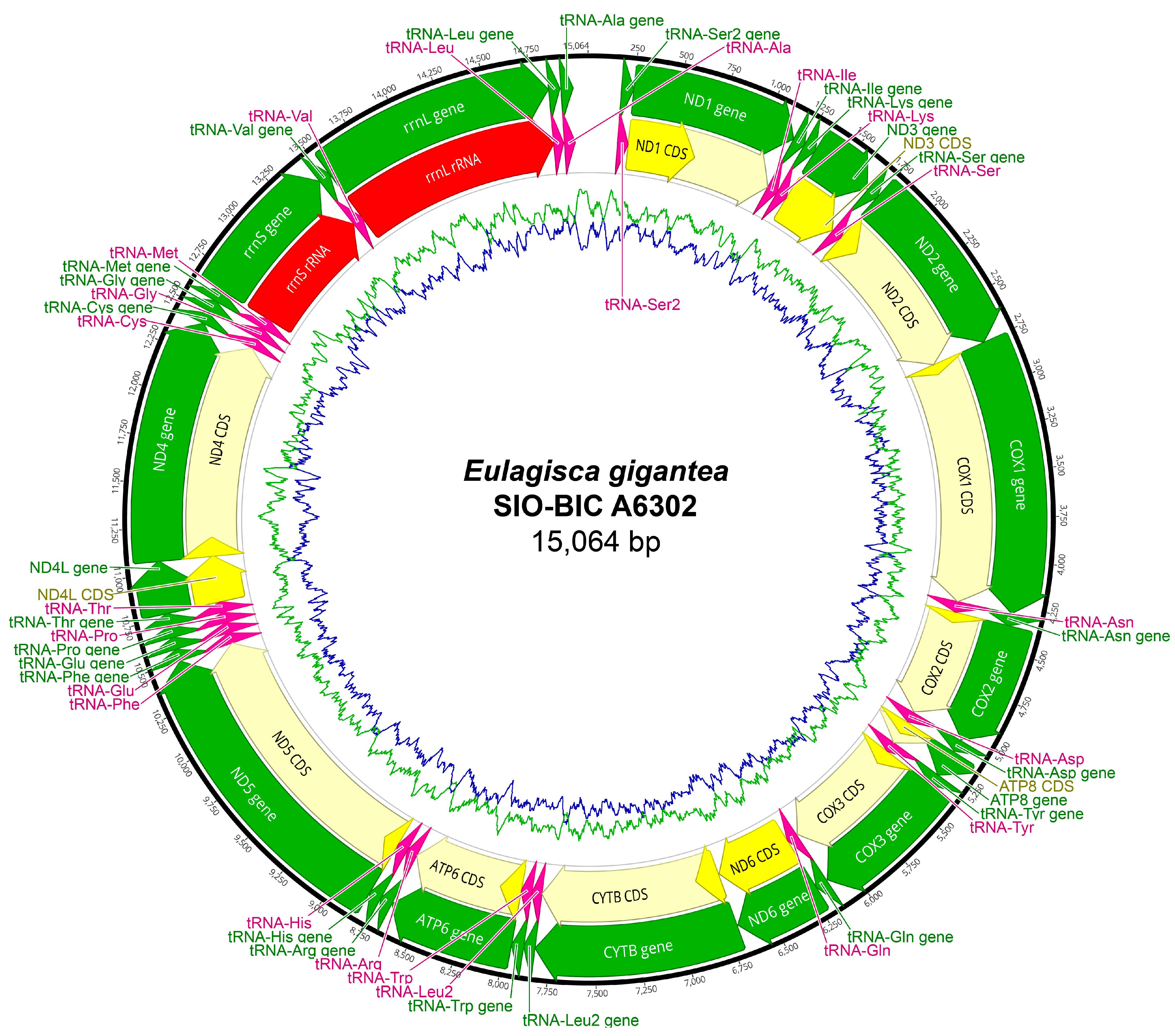 Biology 13 00979 g0a15