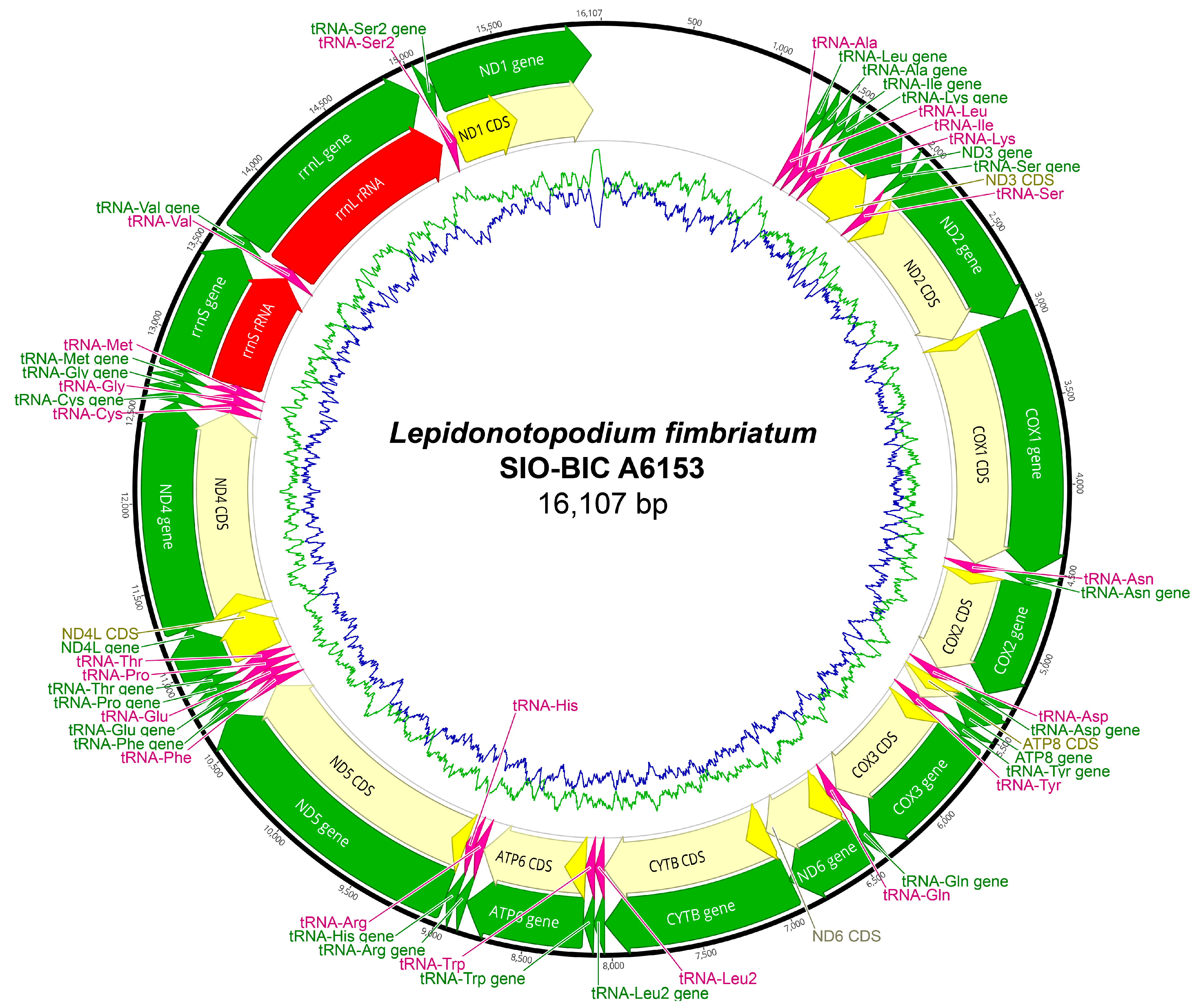 Biology 13 00979 g0a16