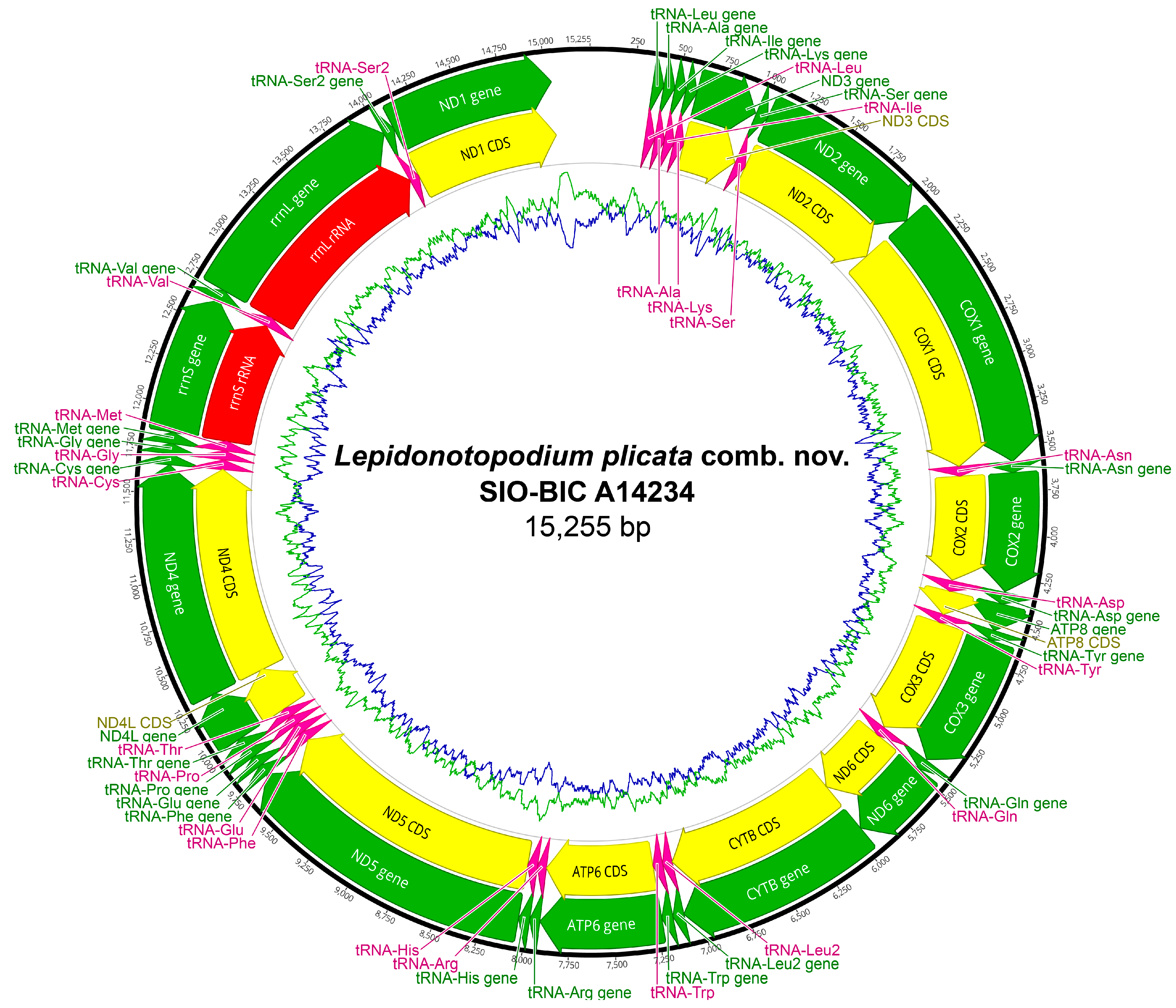 Biology 13 00979 g0a17