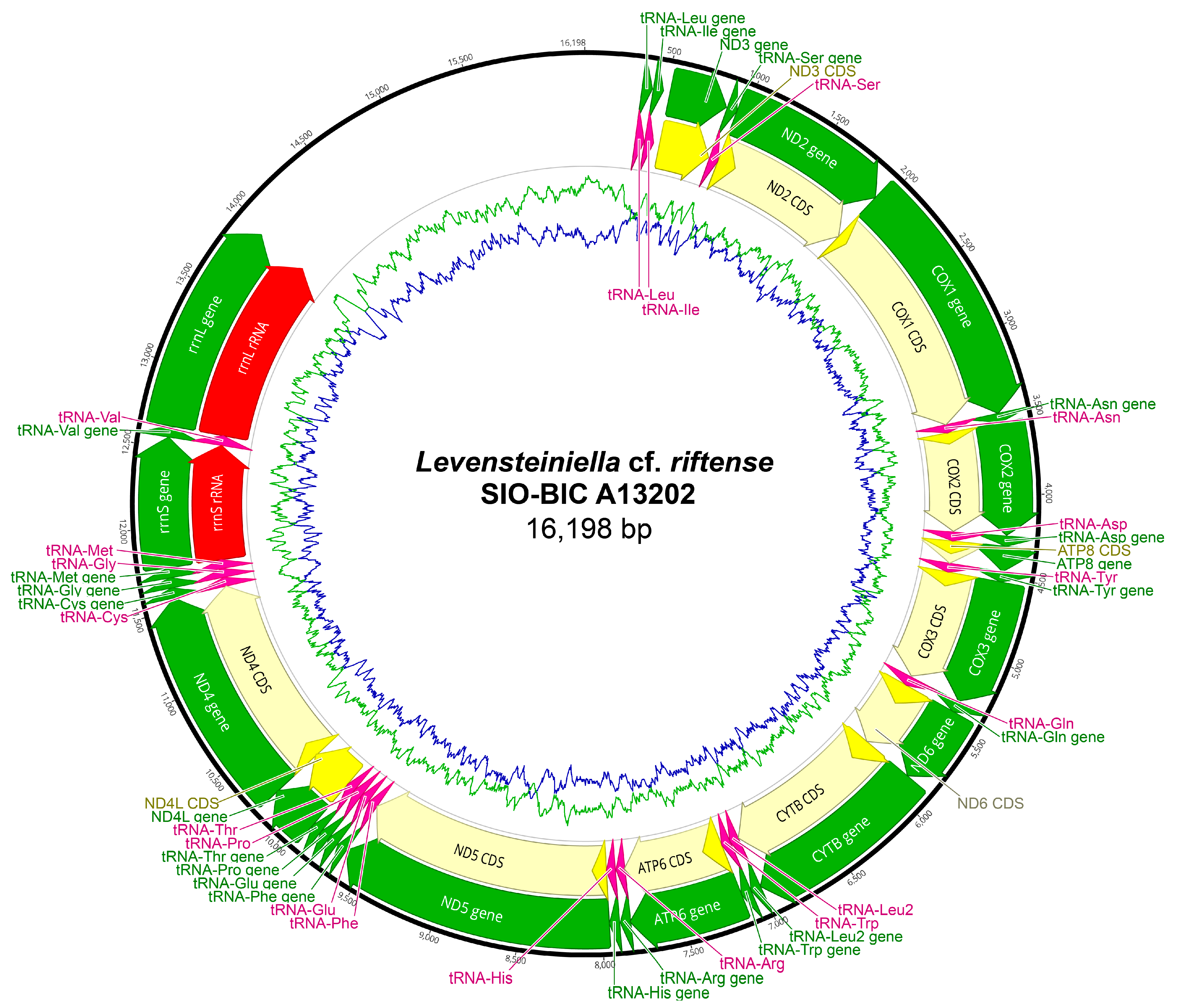 Biology 13 00979 g0a18