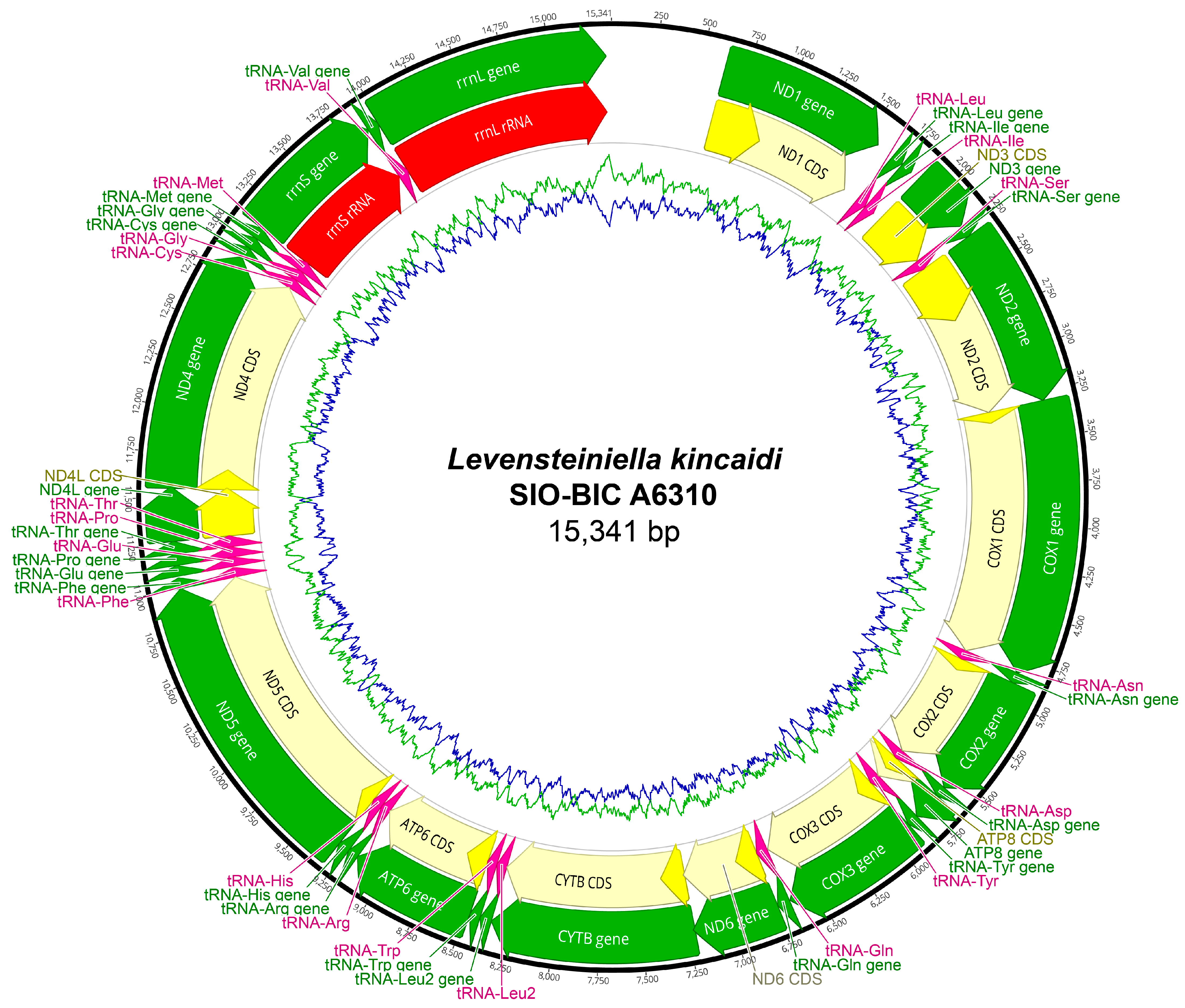 Biology 13 00979 g0a19