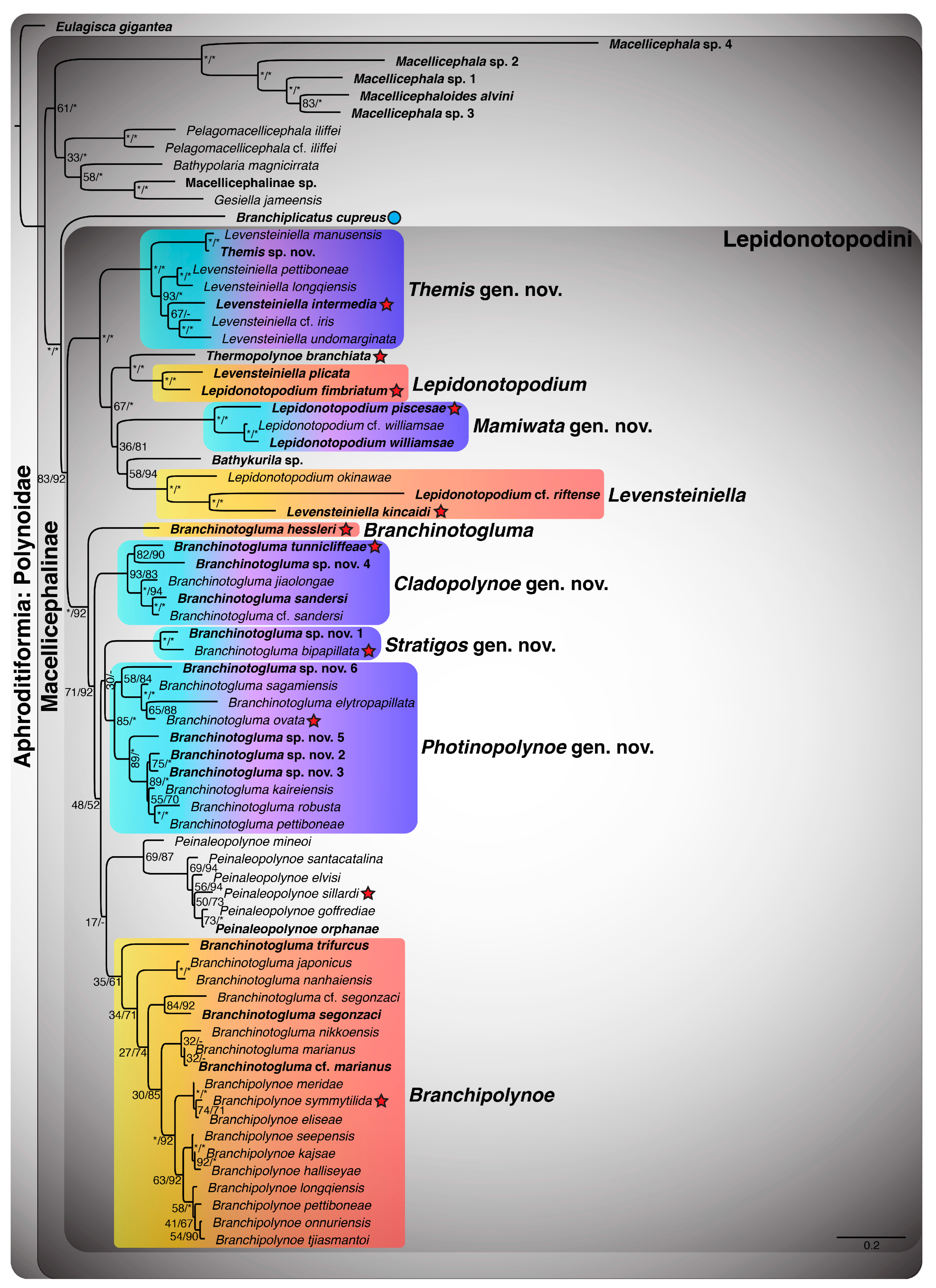 Biology 13 00979 g0a2