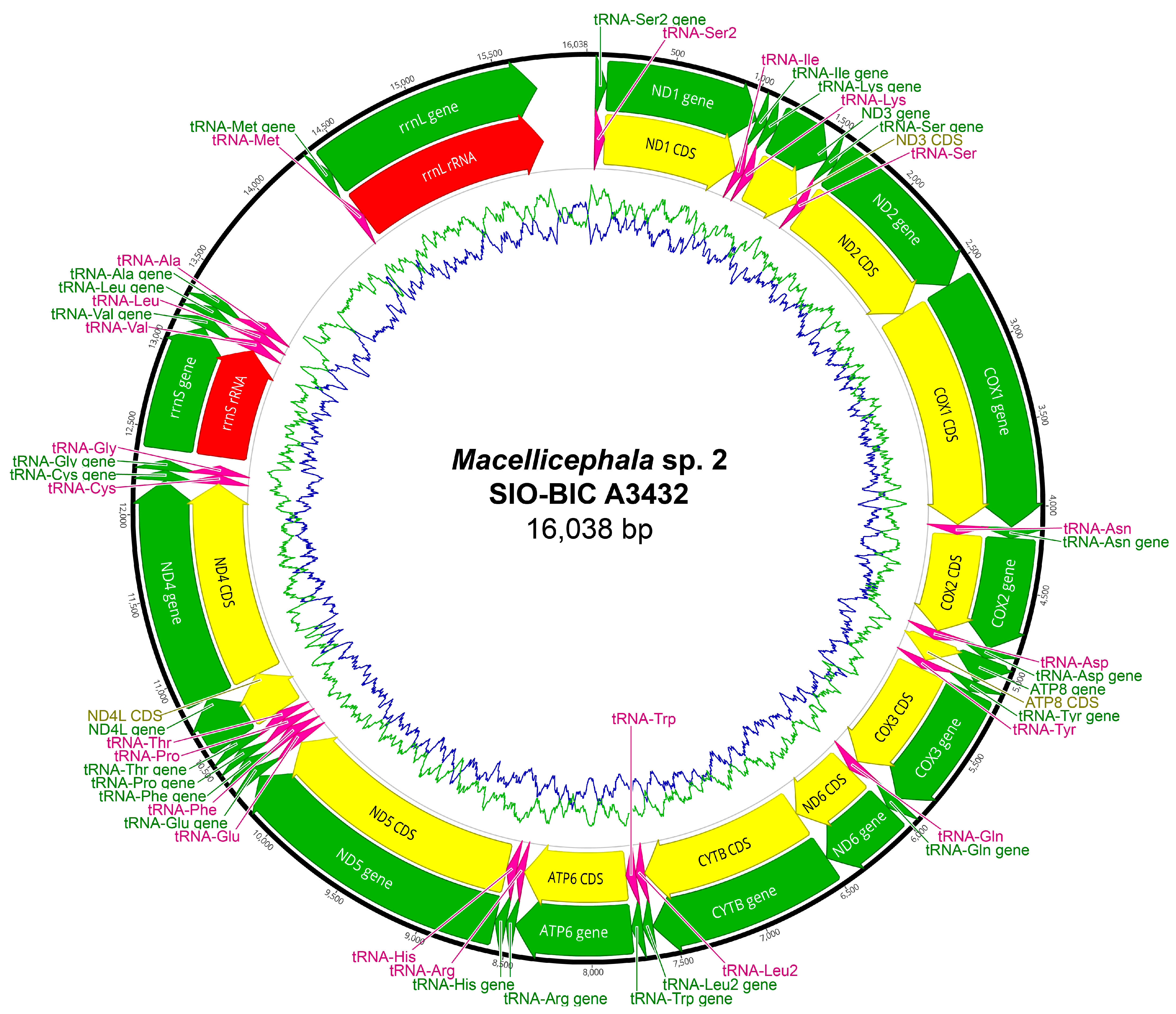 Biology 13 00979 g0a21