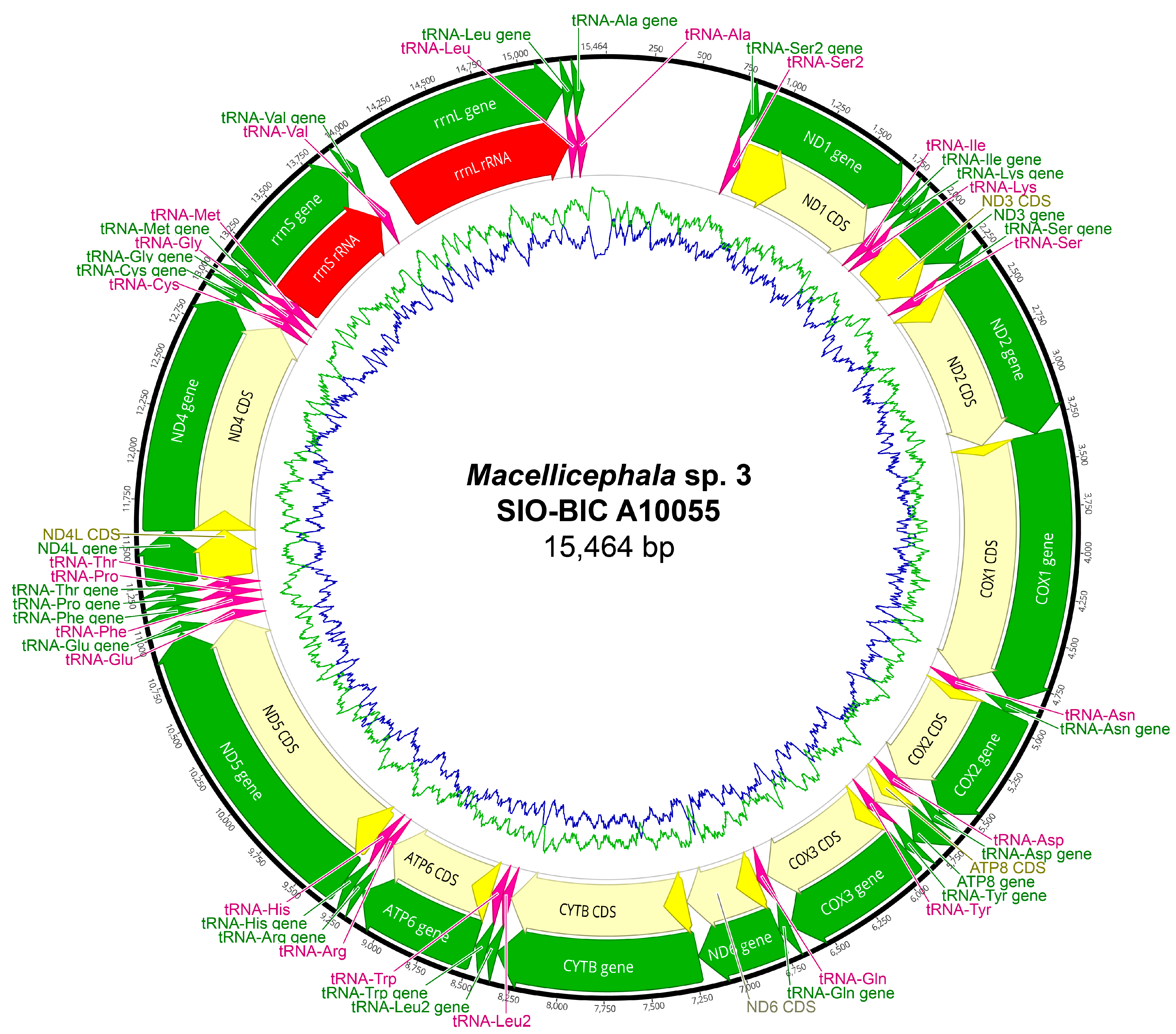 Biology 13 00979 g0a22