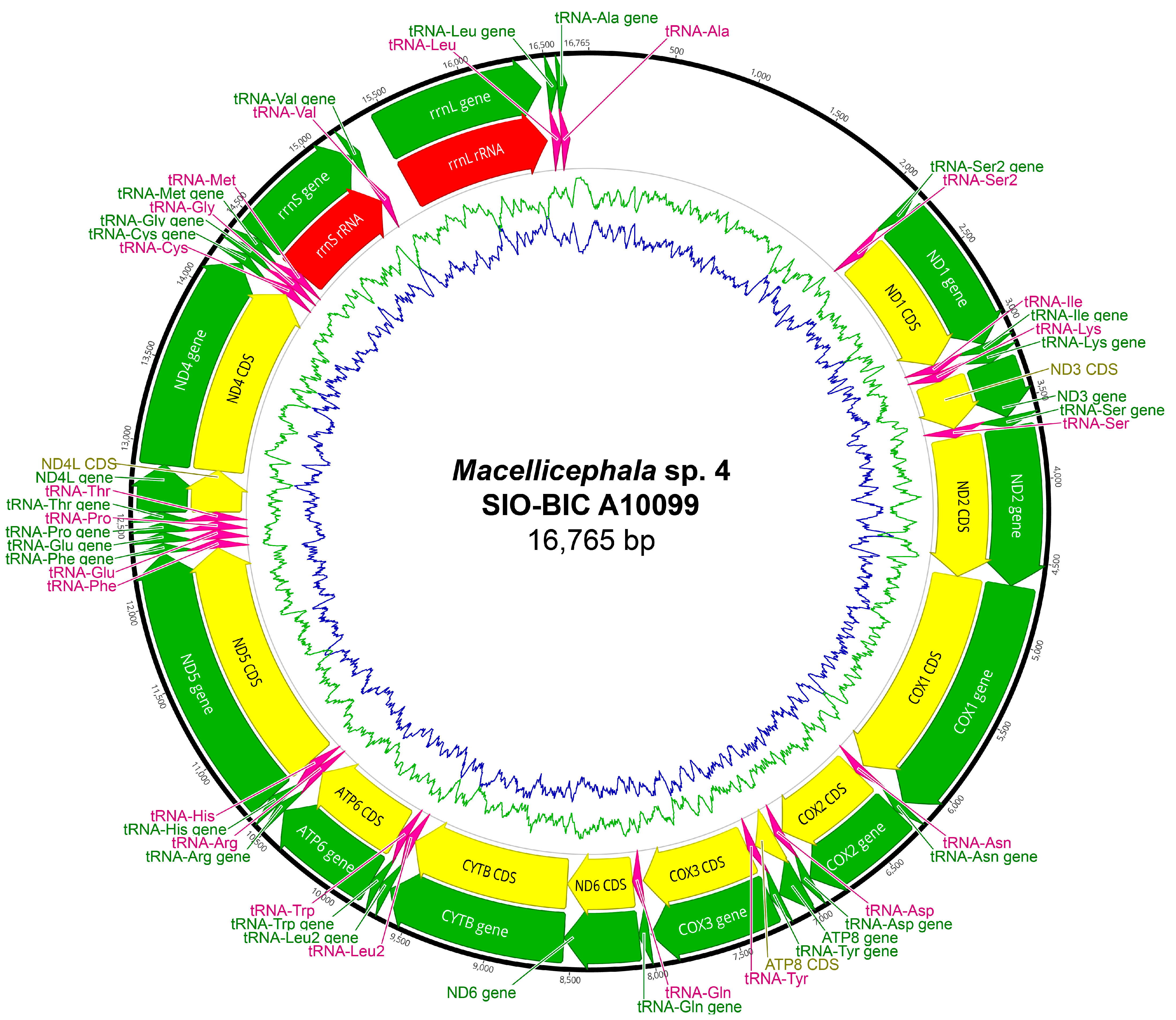 Biology 13 00979 g0a23