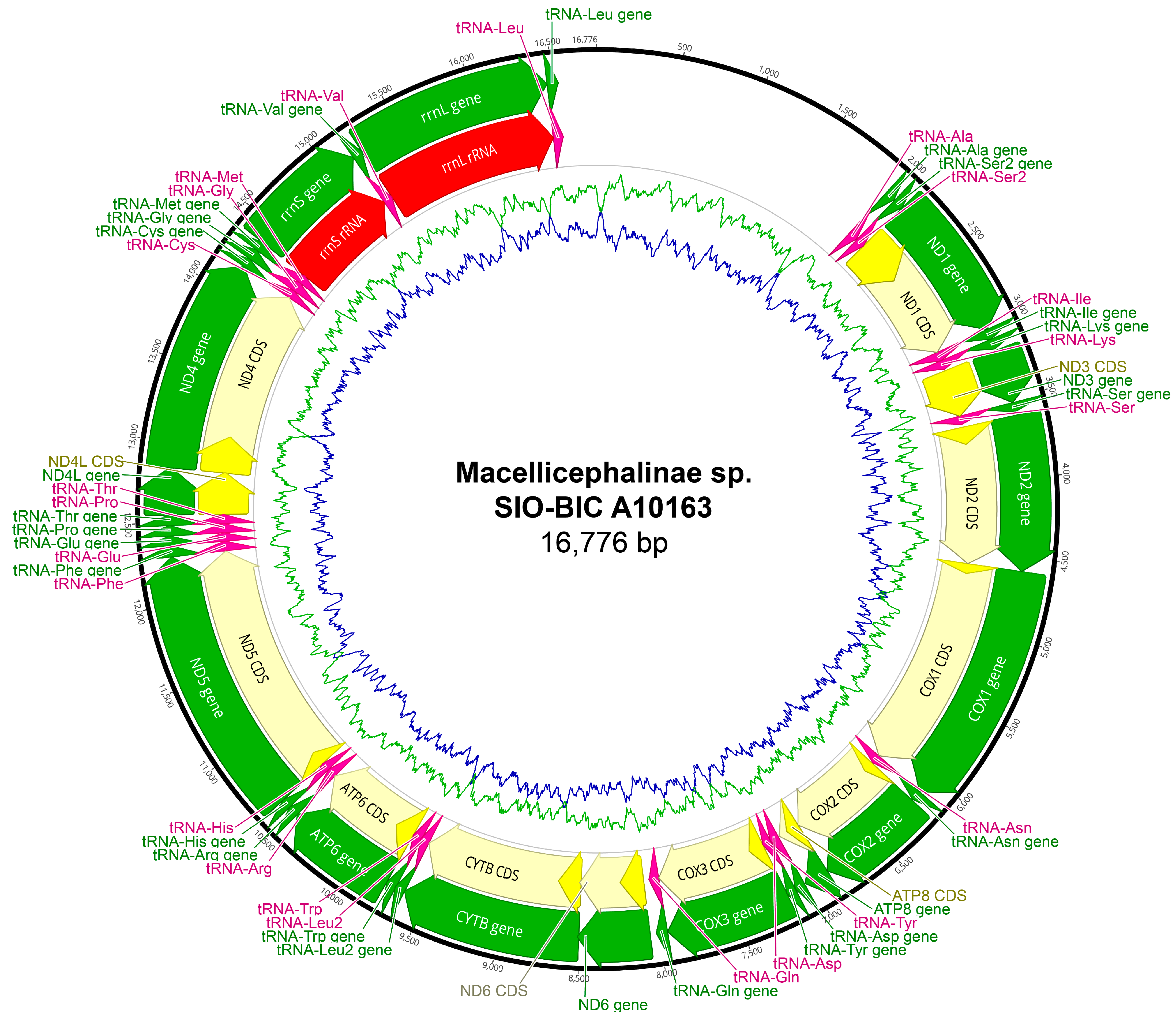Biology 13 00979 g0a24