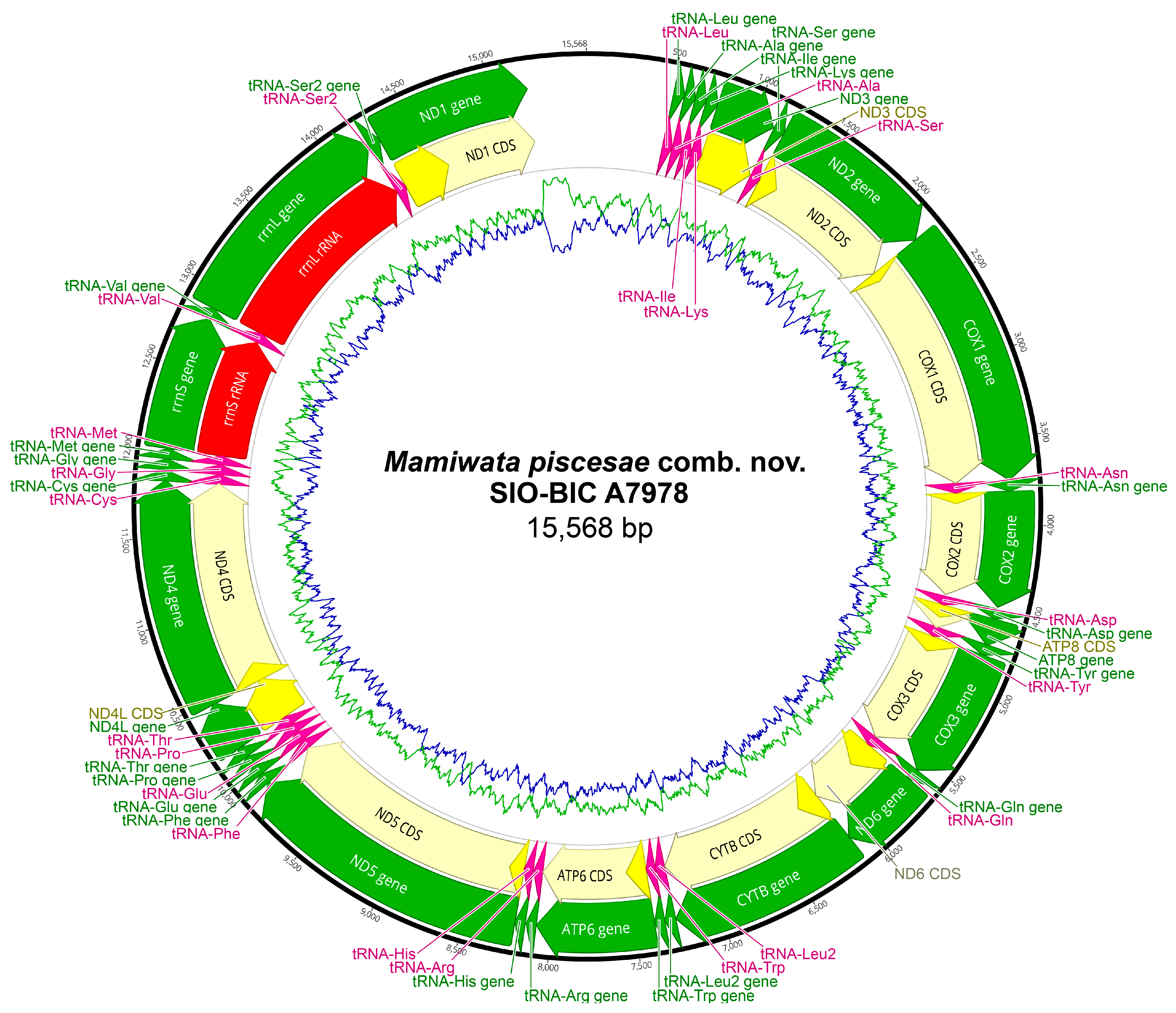 Biology 13 00979 g0a26