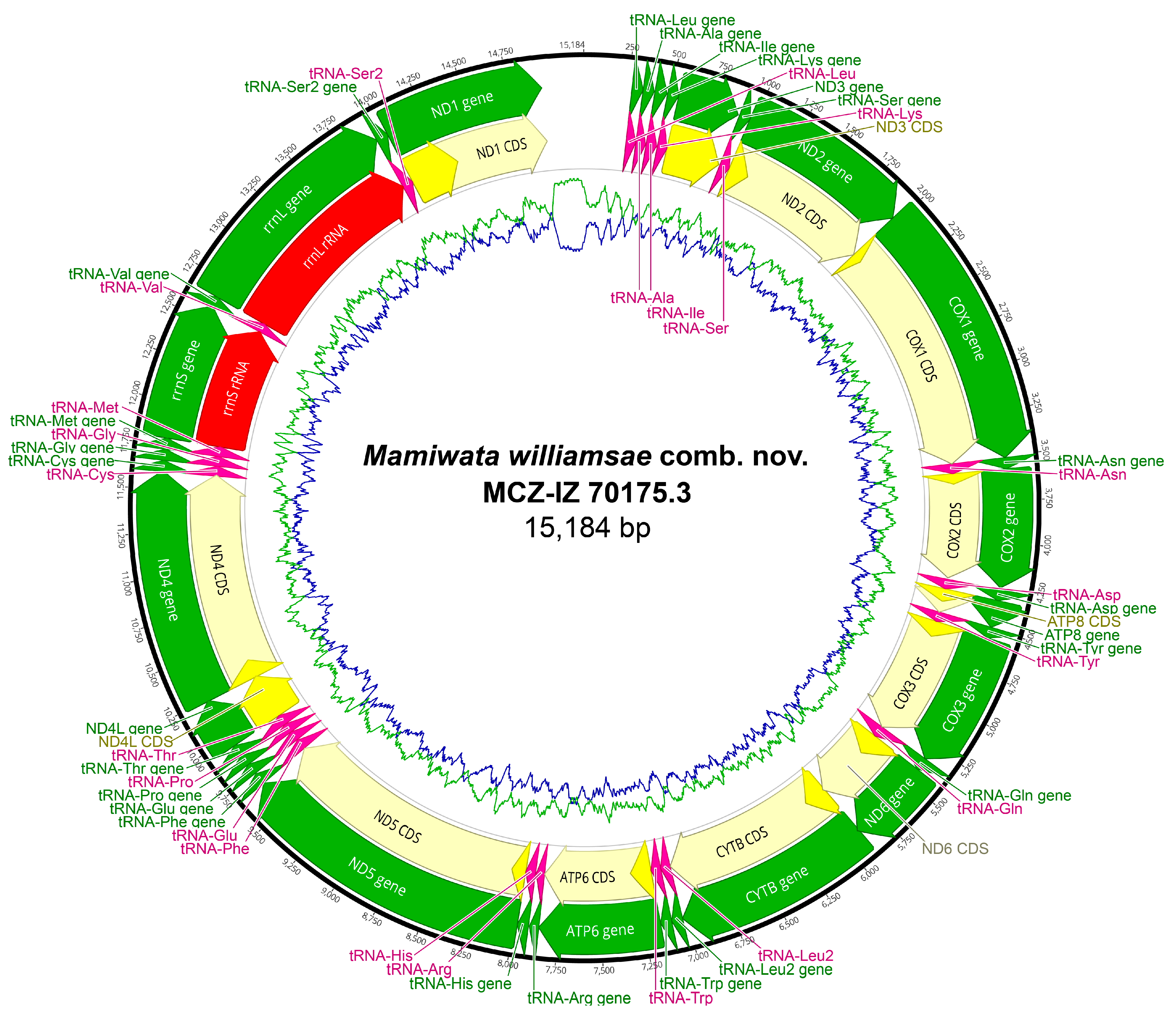 Biology 13 00979 g0a27