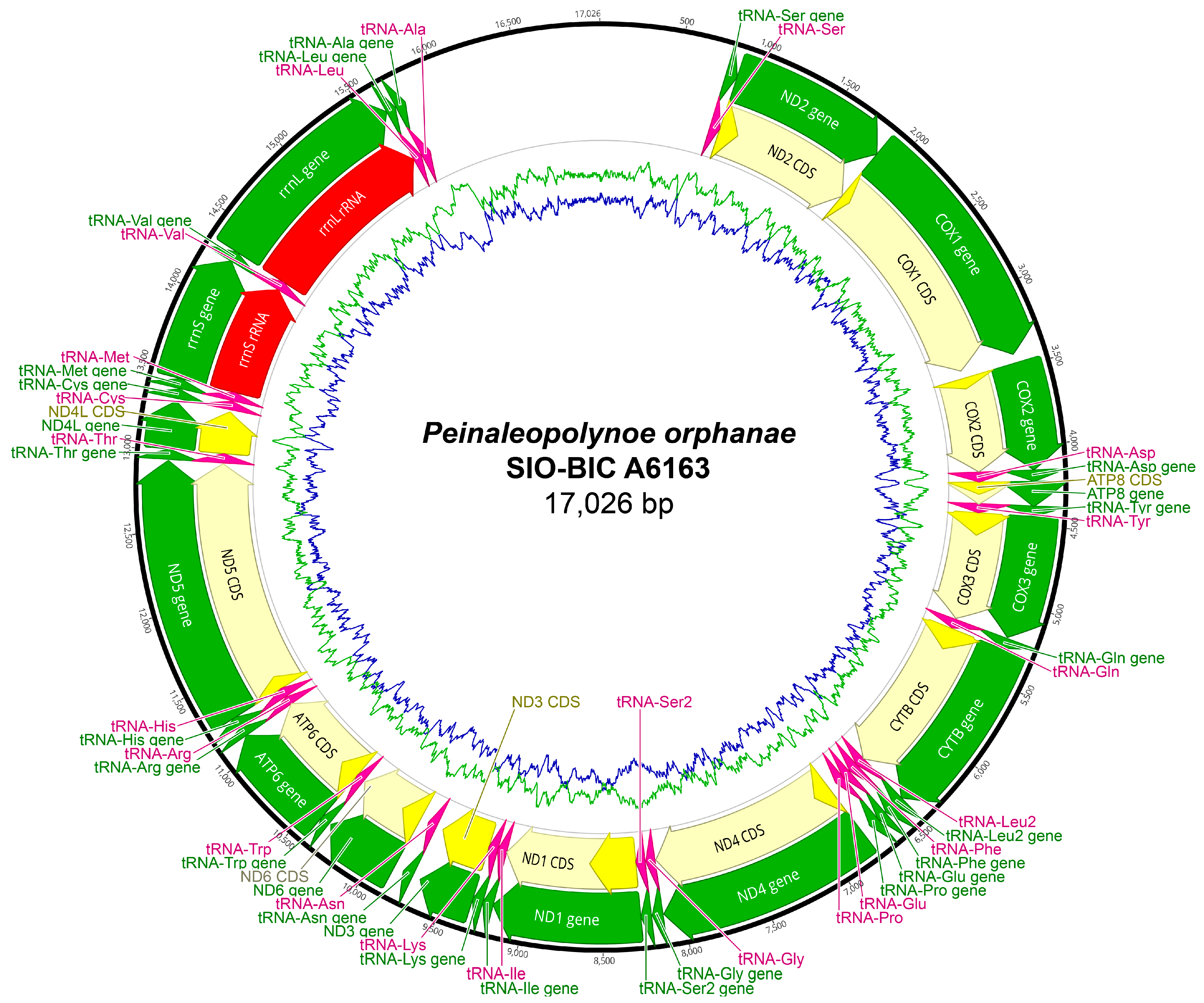Biology 13 00979 g0a28