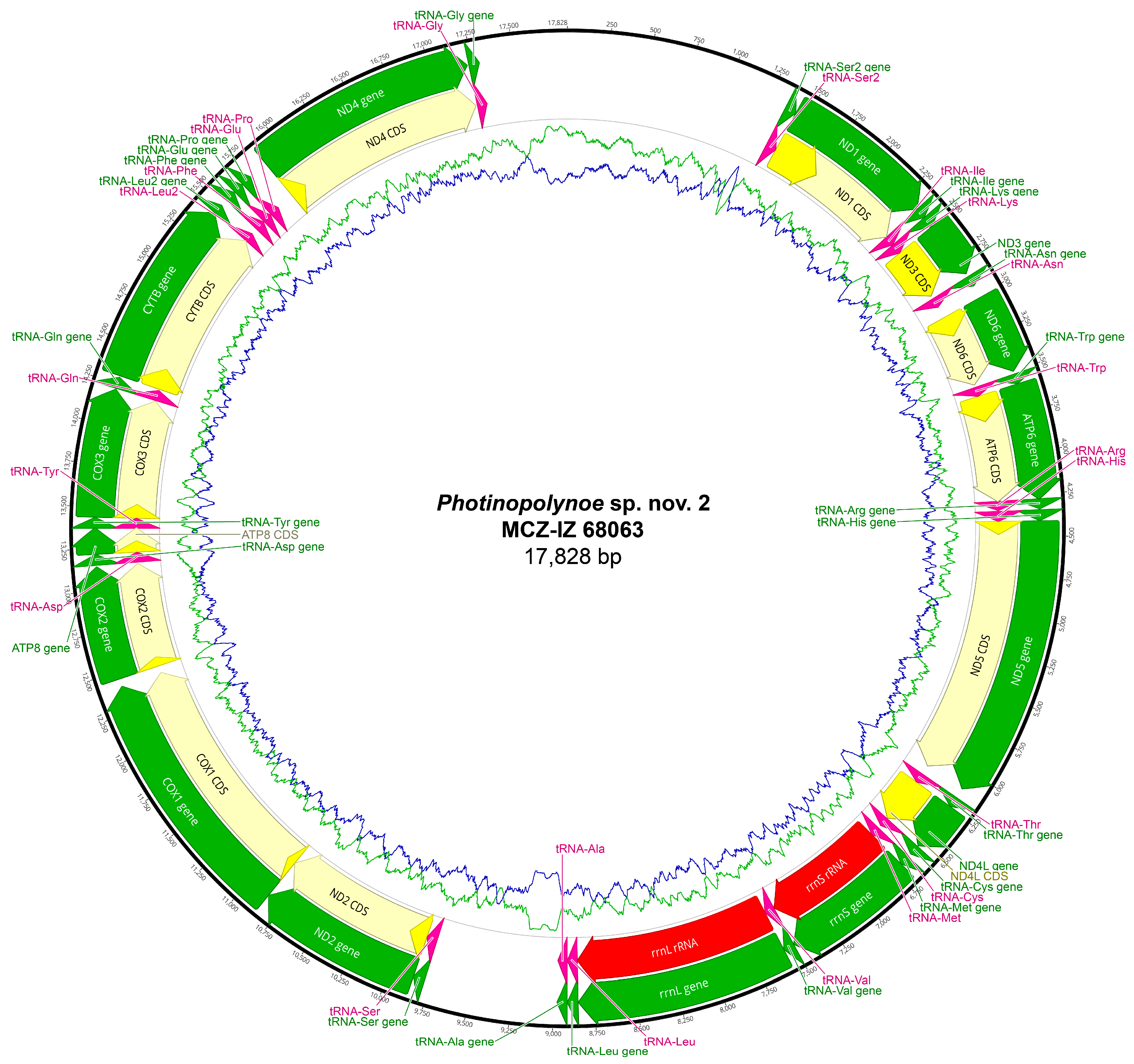 Biology 13 00979 g0a29