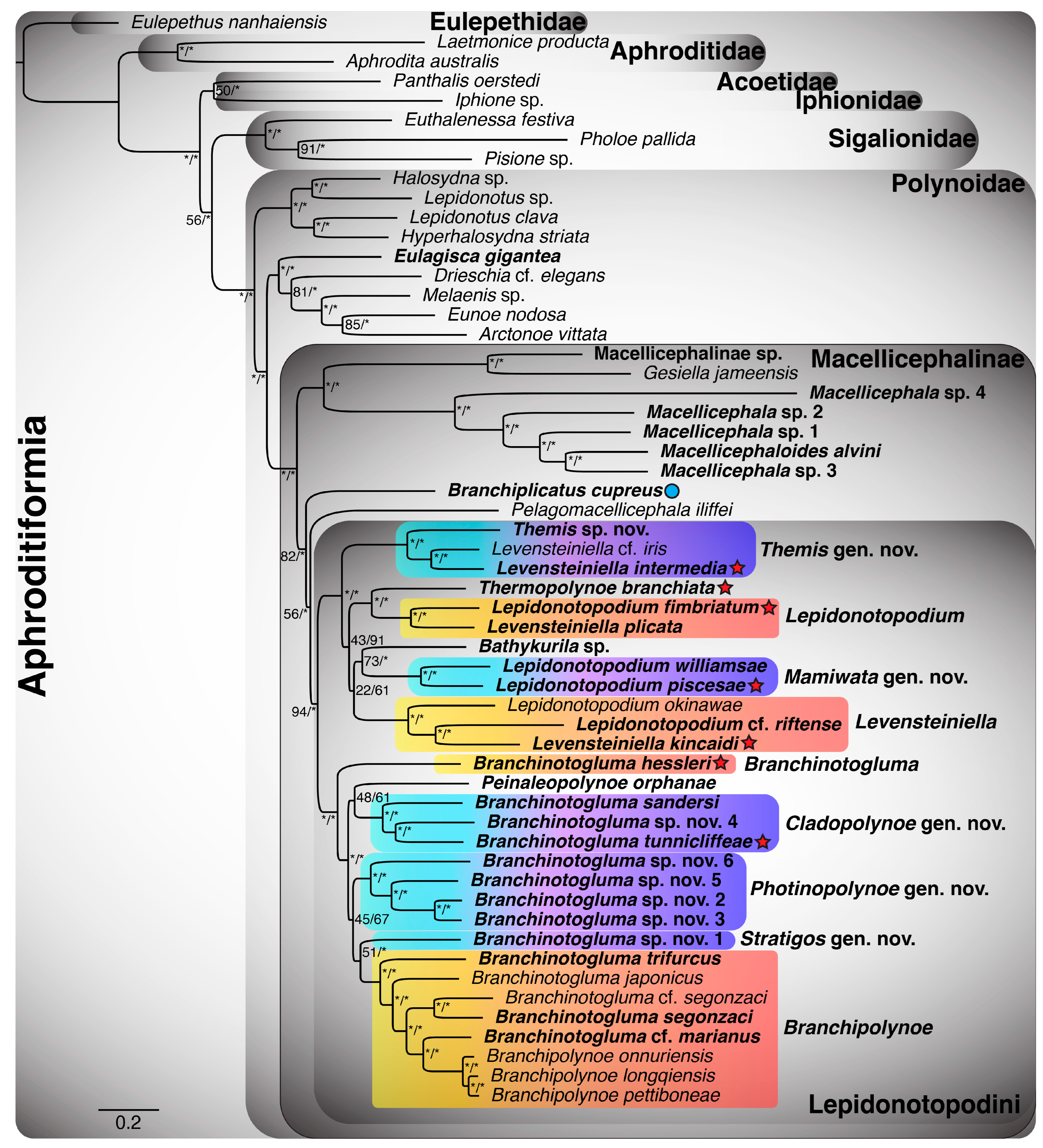 Biology 13 00979 g0a3