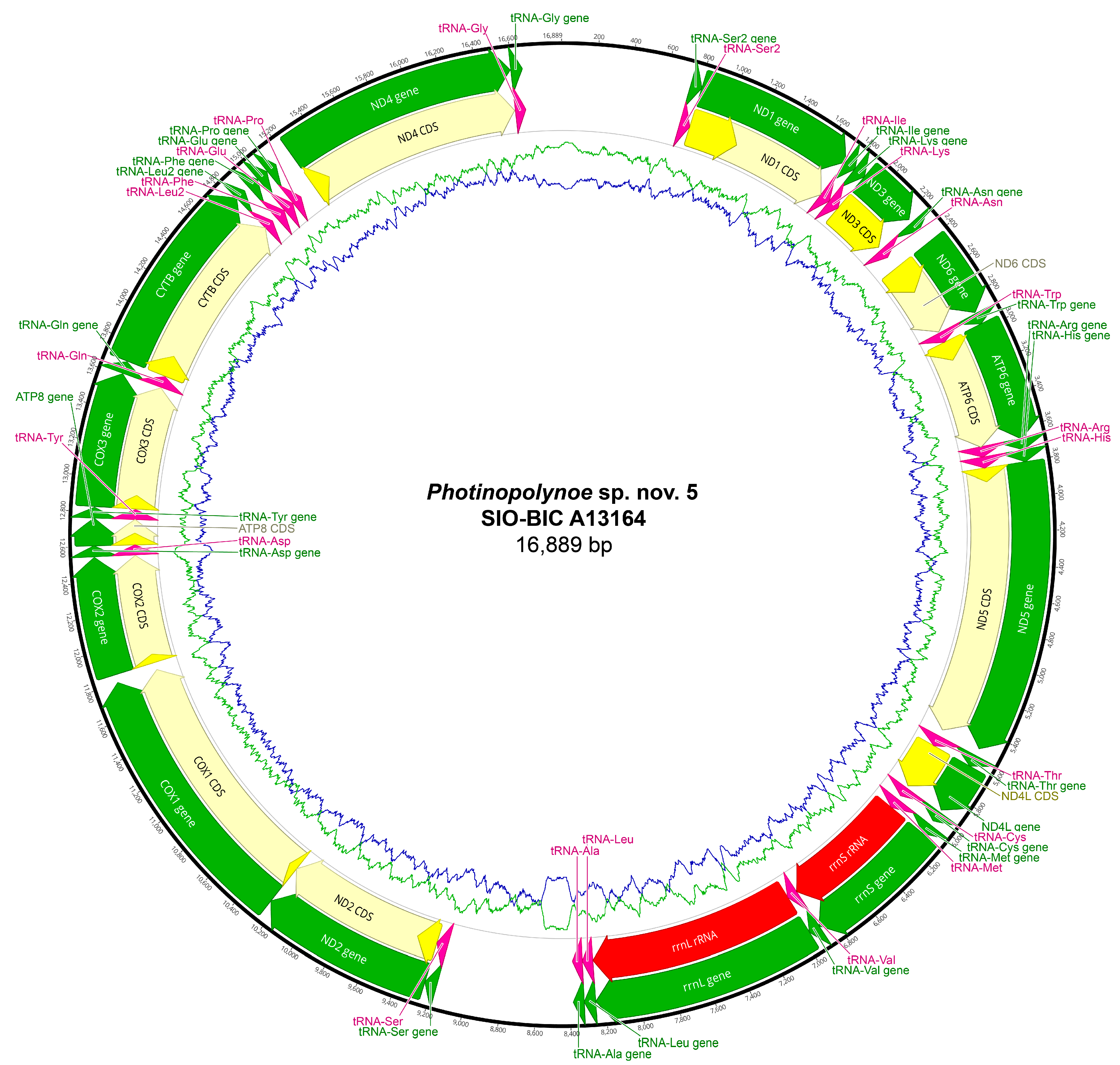 Biology 13 00979 g0a31