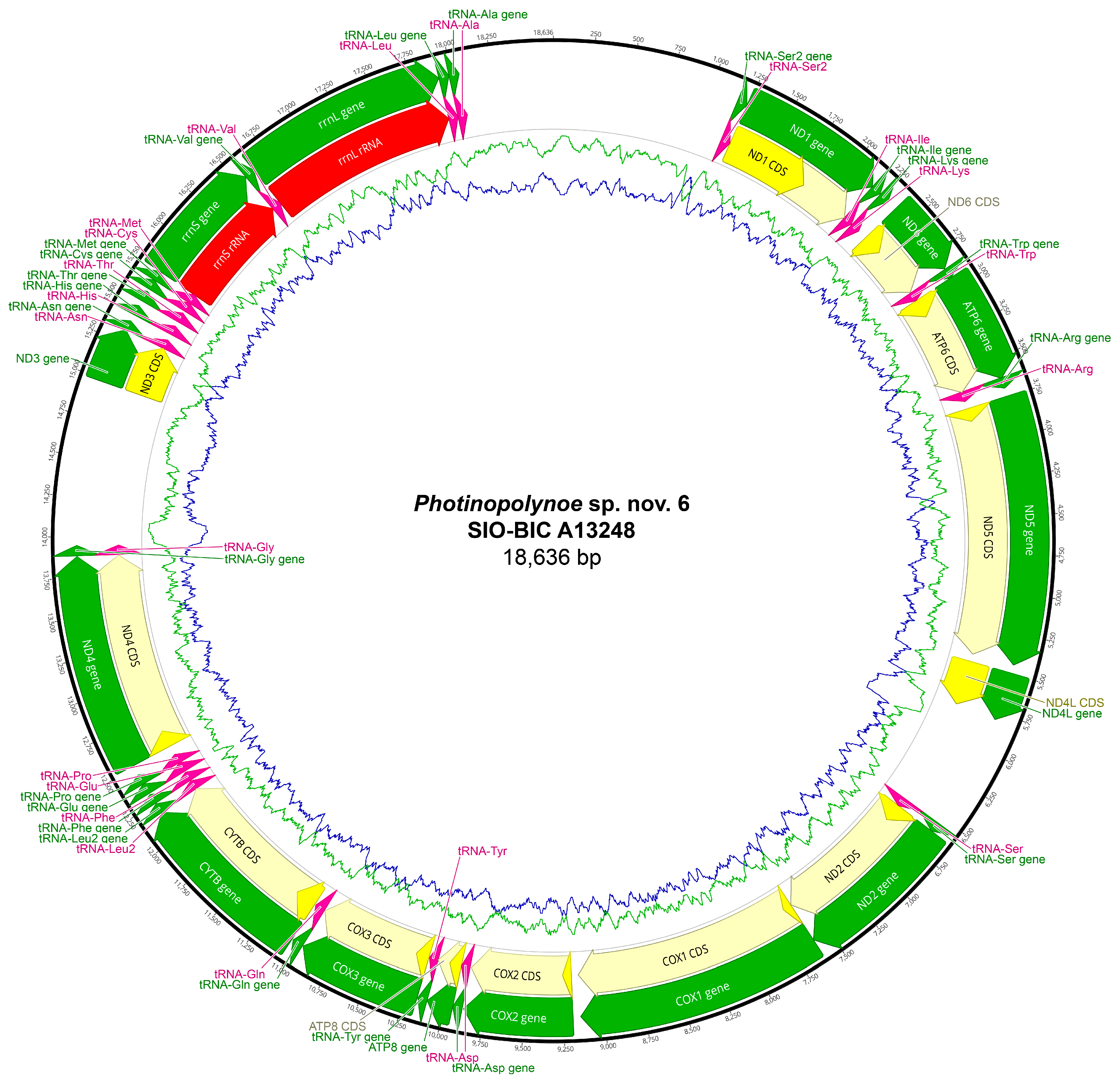 Biology 13 00979 g0a32